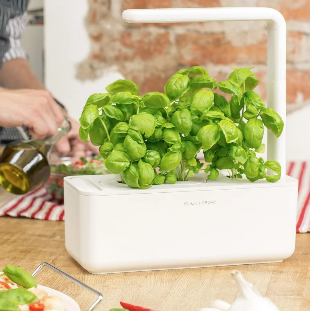 Click & Grow Smart Herb Garden Basilic Pack de 3 recharge