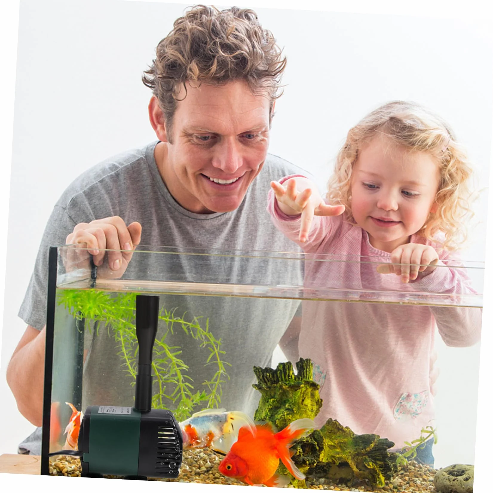 BESPORTBLE Kit Fontaine pour Étangs et Aquariums Accessoires de Fontaine Petit Étang Design ABS