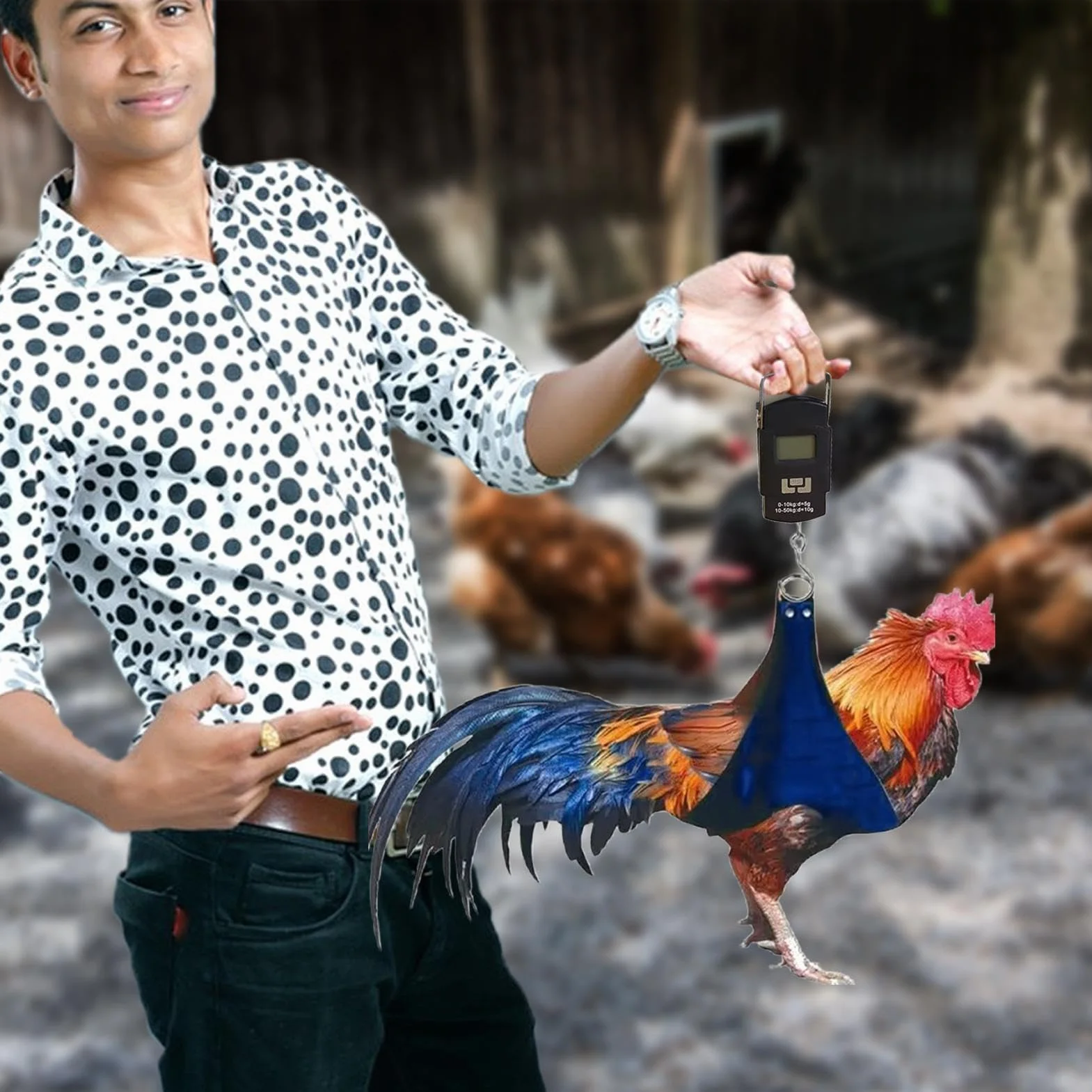 Balance électronique pour volaille Sac de pesée de poulet Élingue de support avec échelle de poids
