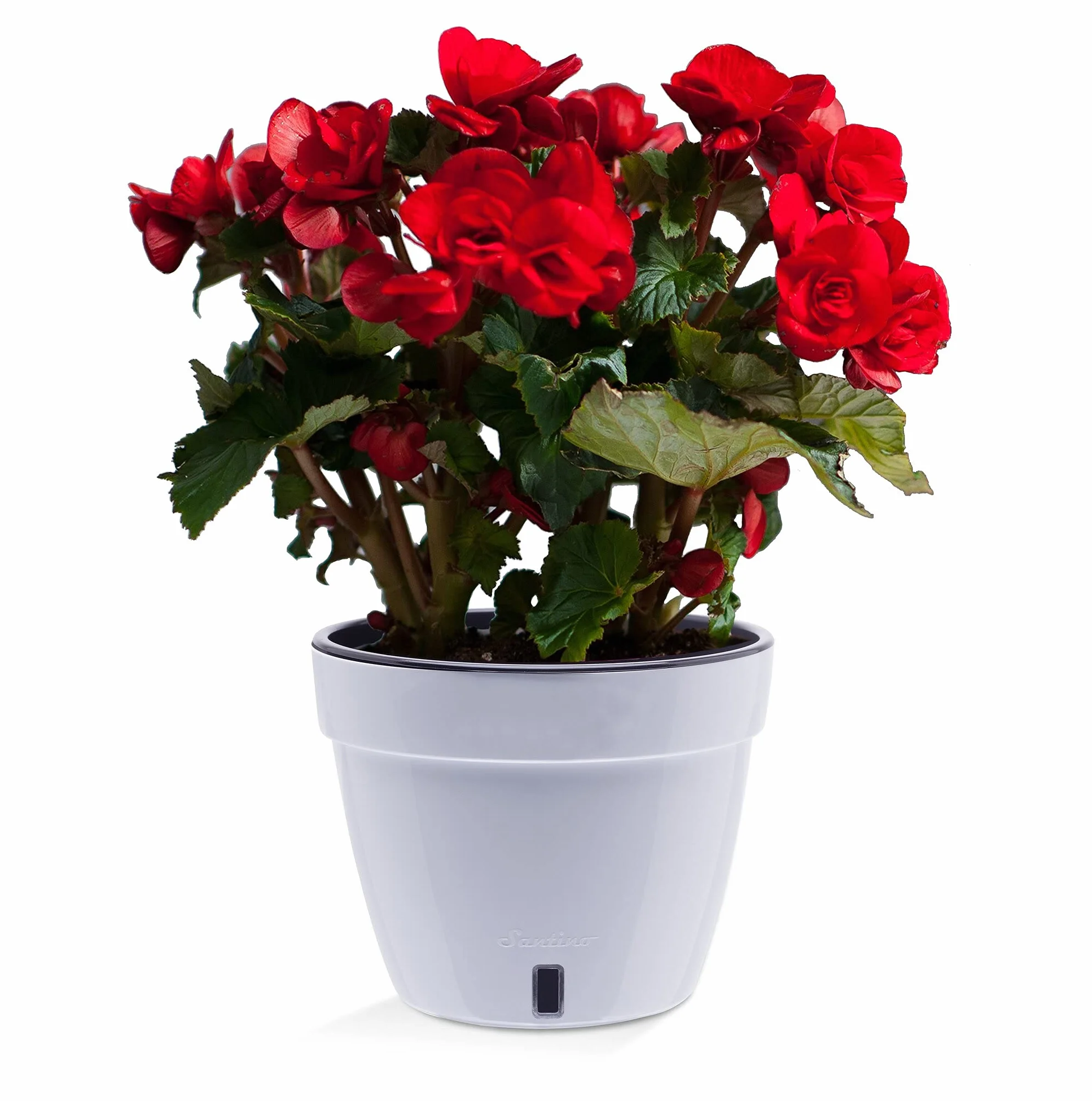 Santino ASTI Pot de Fleurs à Arrosage Automatique 18 cm Auto-Arrosant Indicateur de Niveau d'eau Blanc/Noir