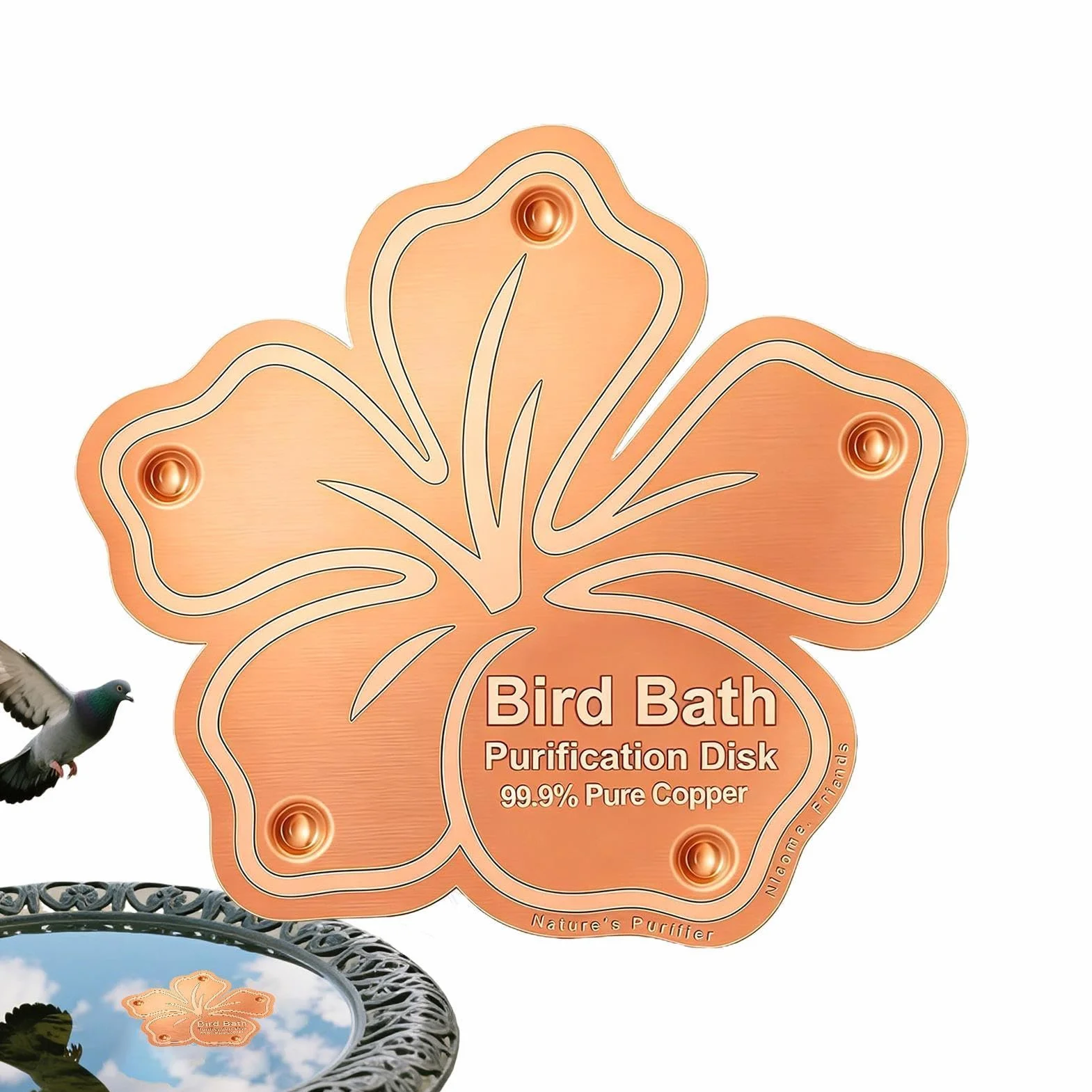 Disque de traitement de l'eau pour abreuvoir à oiseaux en cuivre résistant aux intempéries