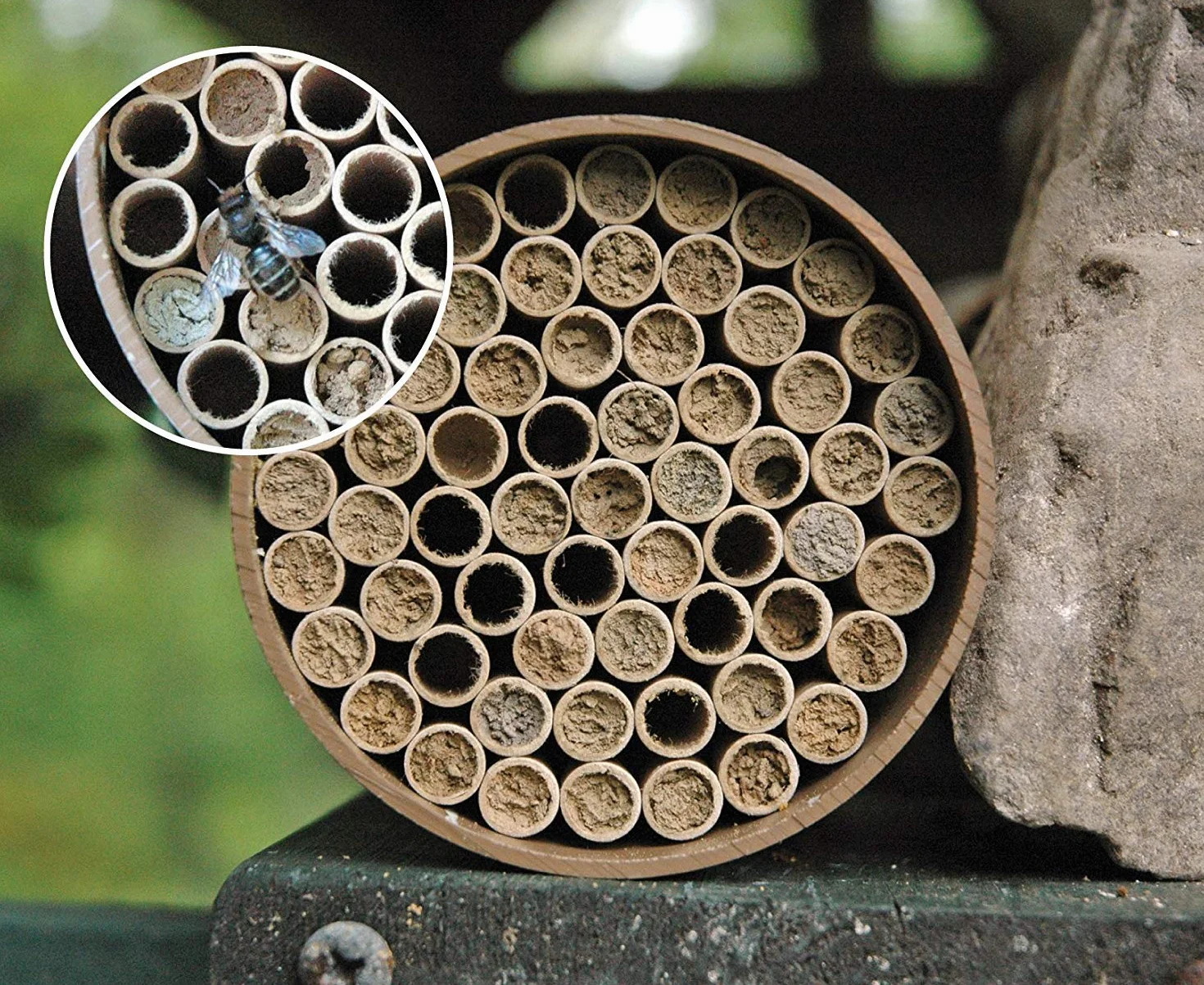 Lot de 100 hôtel à insectes - Remplissage tubes carton - Bricolage - Pour abeilles