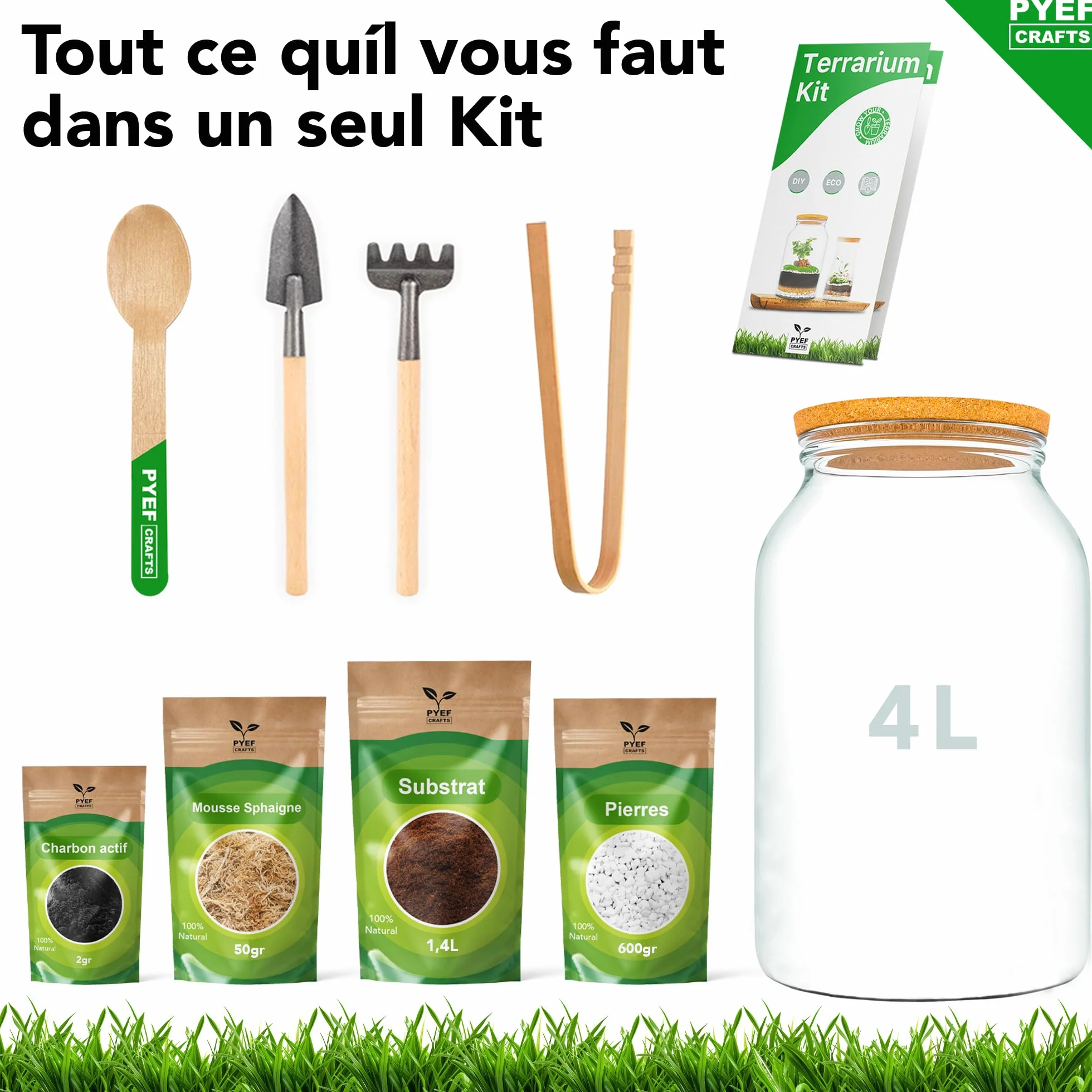 Terrarium Verre XL Kit DIY 4L Jardin en Bouteille