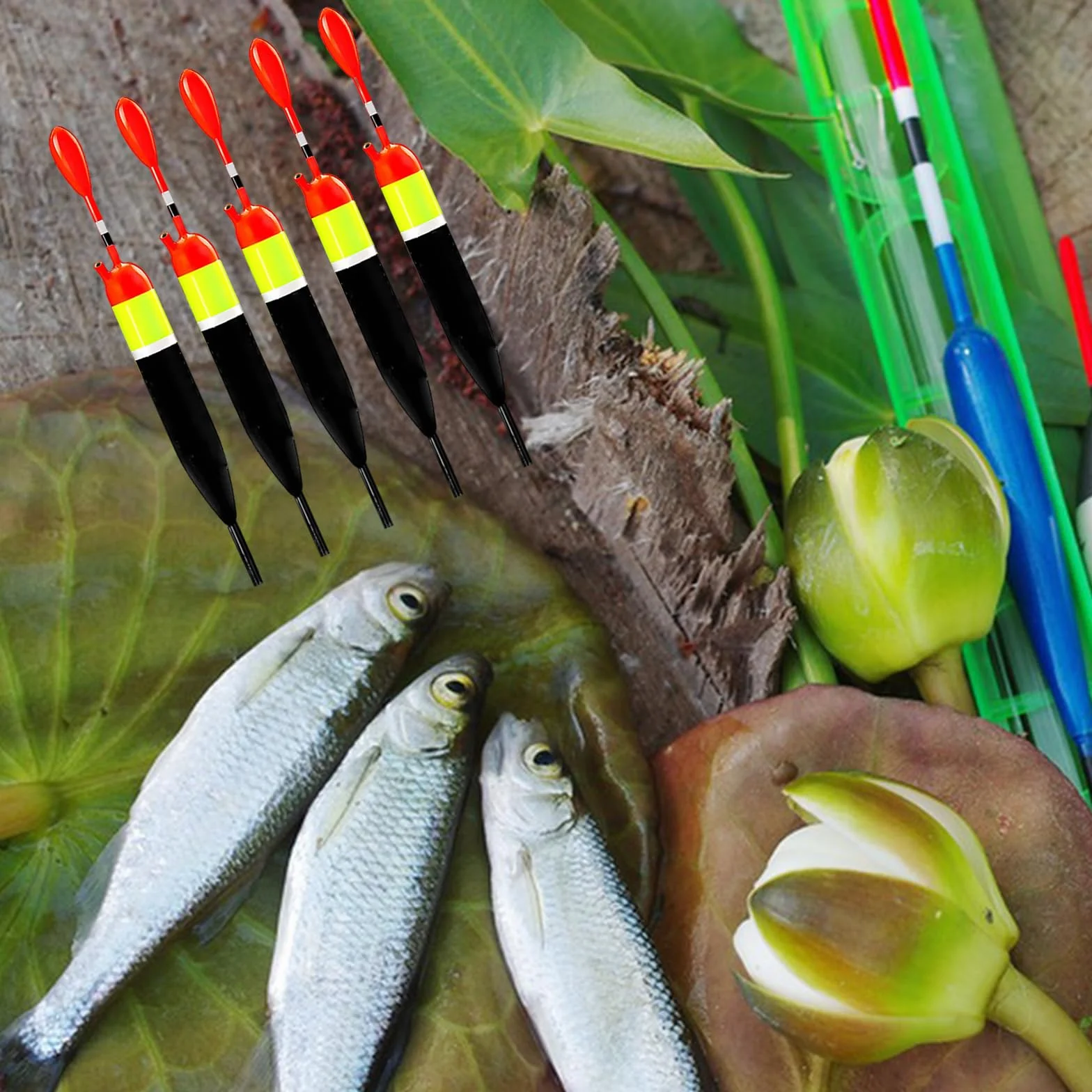 Cerioll Flotteurs De Pêche Set 5 Stück 10g Bouchon De Peche