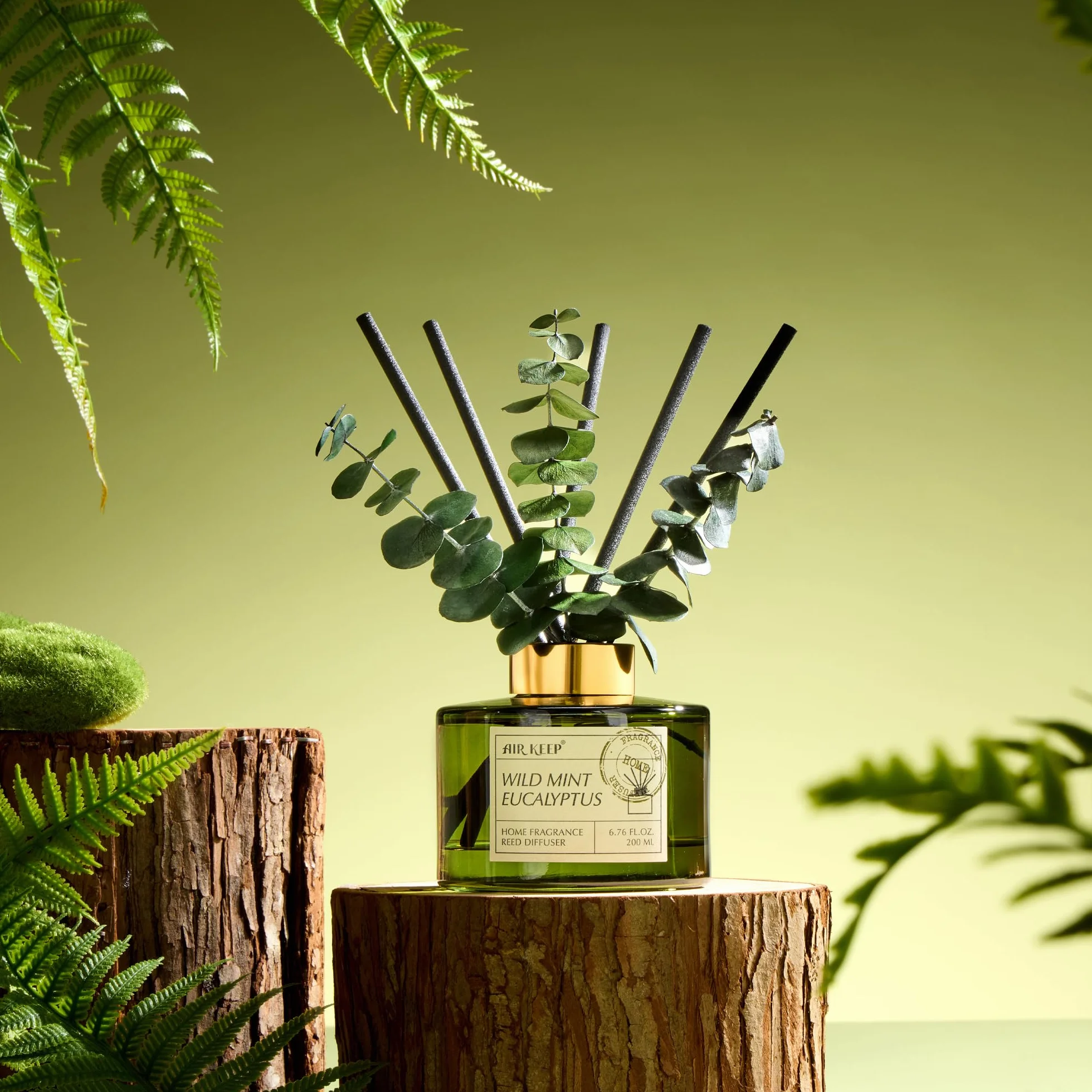 Airkeep Diffuseur de Parfum Maison 200ml 8 Bâtonnets Wild Mint & Eucalyptus Parfum d'Intérieur