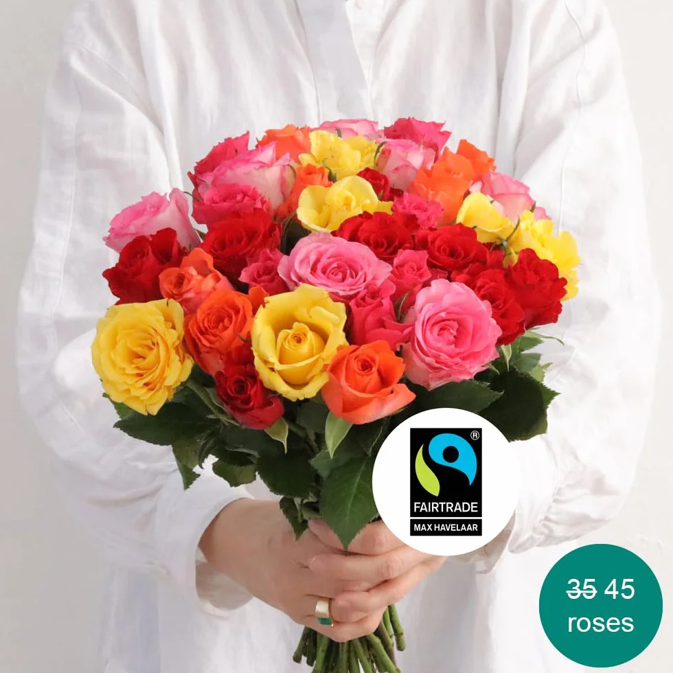 Fleurs et Délices Brassée de Roses Multicolores Très Grand Bouquet 55 Tiges Cadeau Anniversaire Saint-Valentin