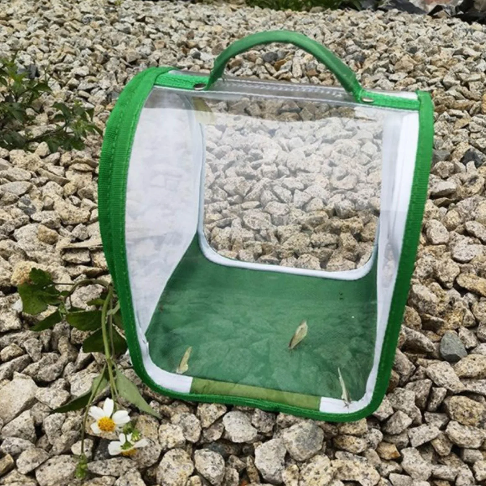 Papillon Habitat Cage de Reproduction Pliable en Maille Transparente pour Insectes et Papillons