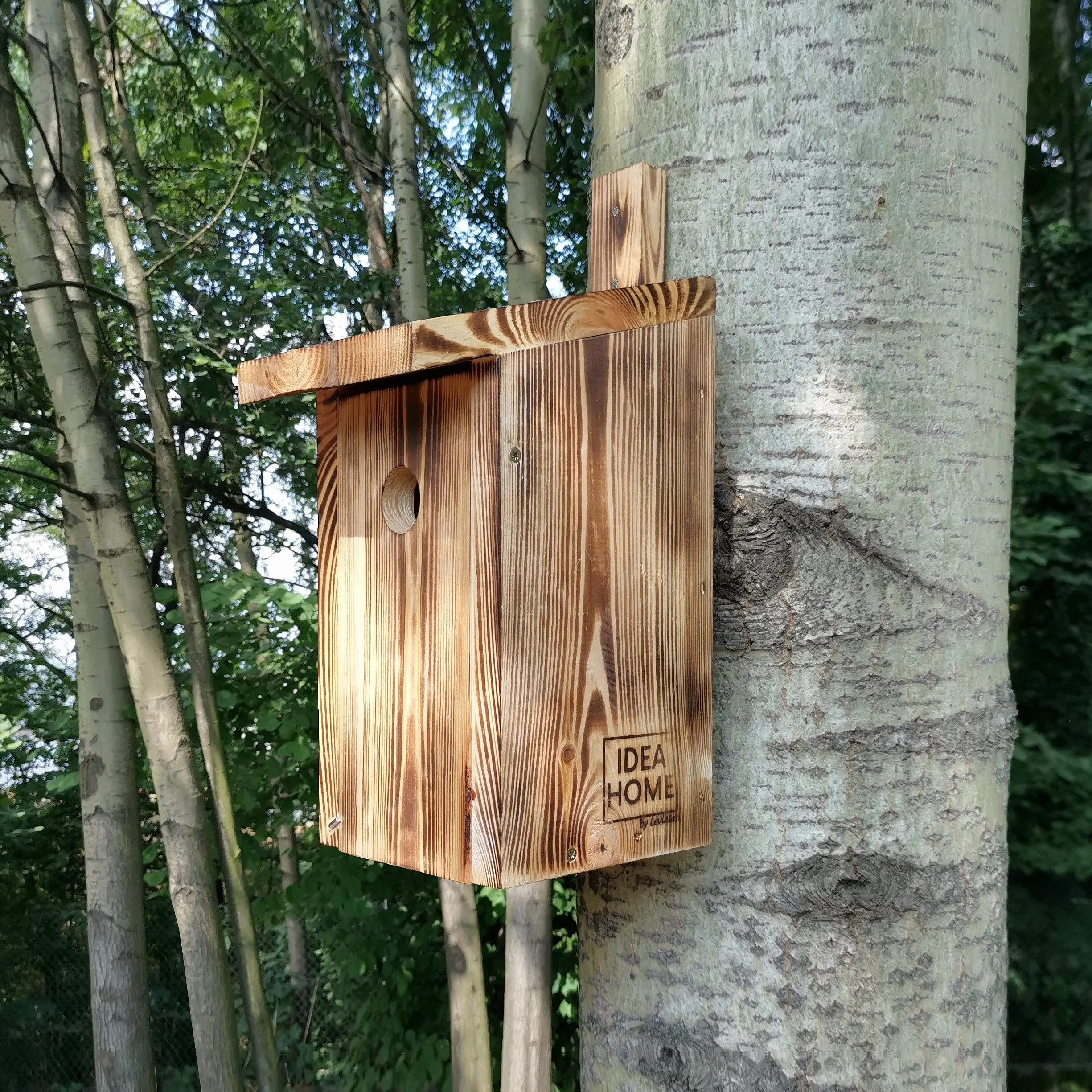 Nichoir pour Grandes Mésanges, Bois Solide, Prêt à l'emploi