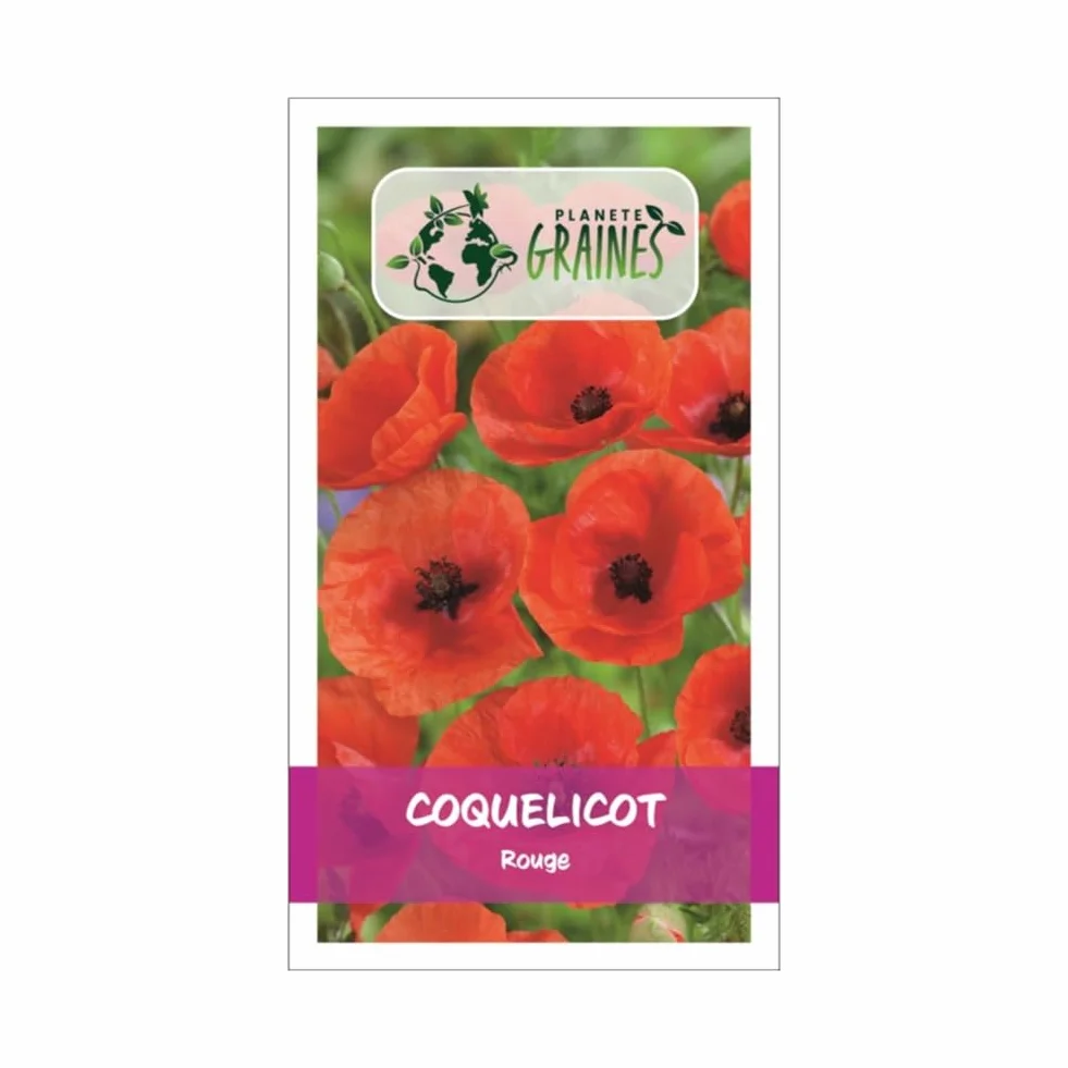 Pavot des Moissons Coquelicot Rouge 1000 Graines 60 cm