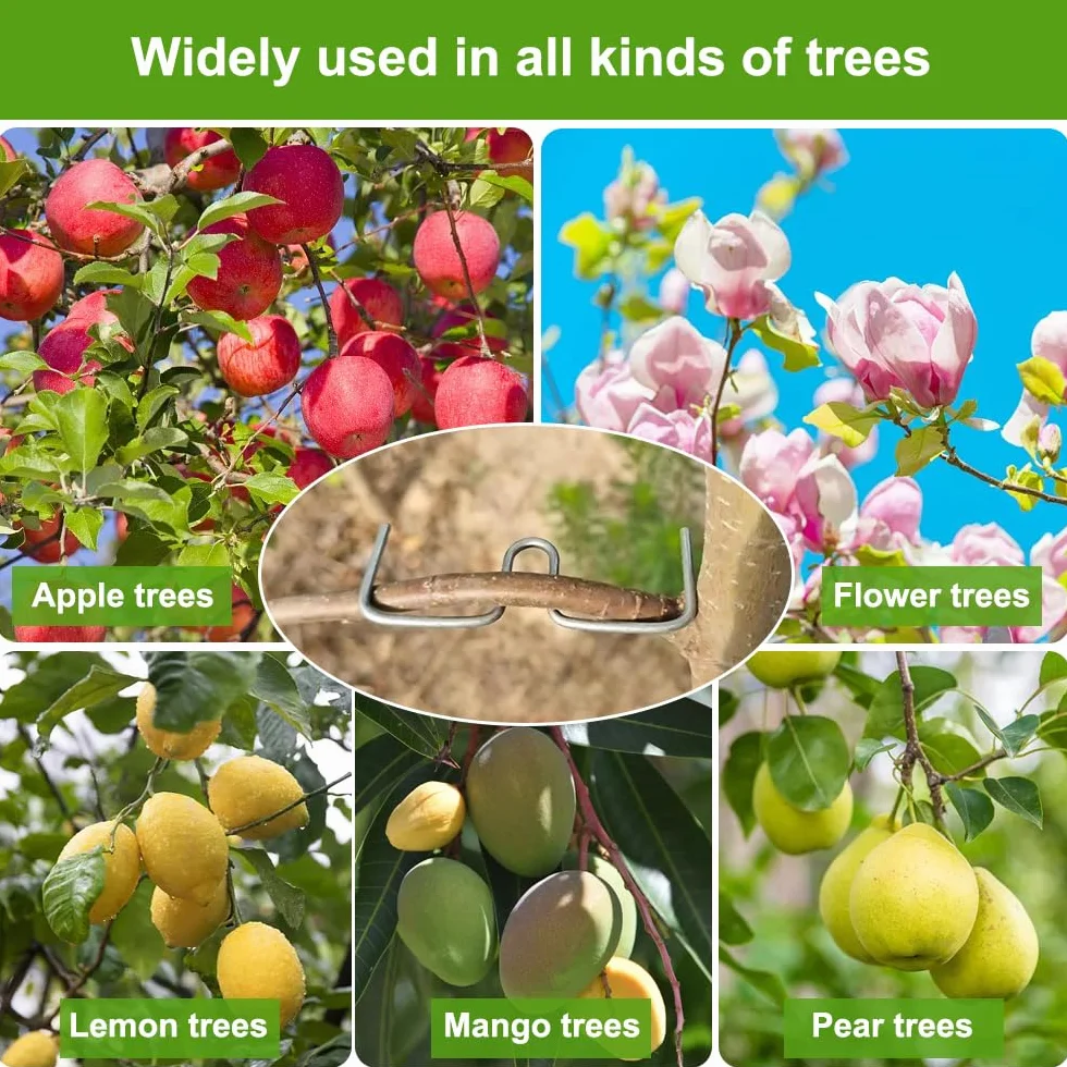 Épandeur de Branches d'Arbre en Forme de M, 25 PCS, Support Arrache-Branches pour Branches Fruitières