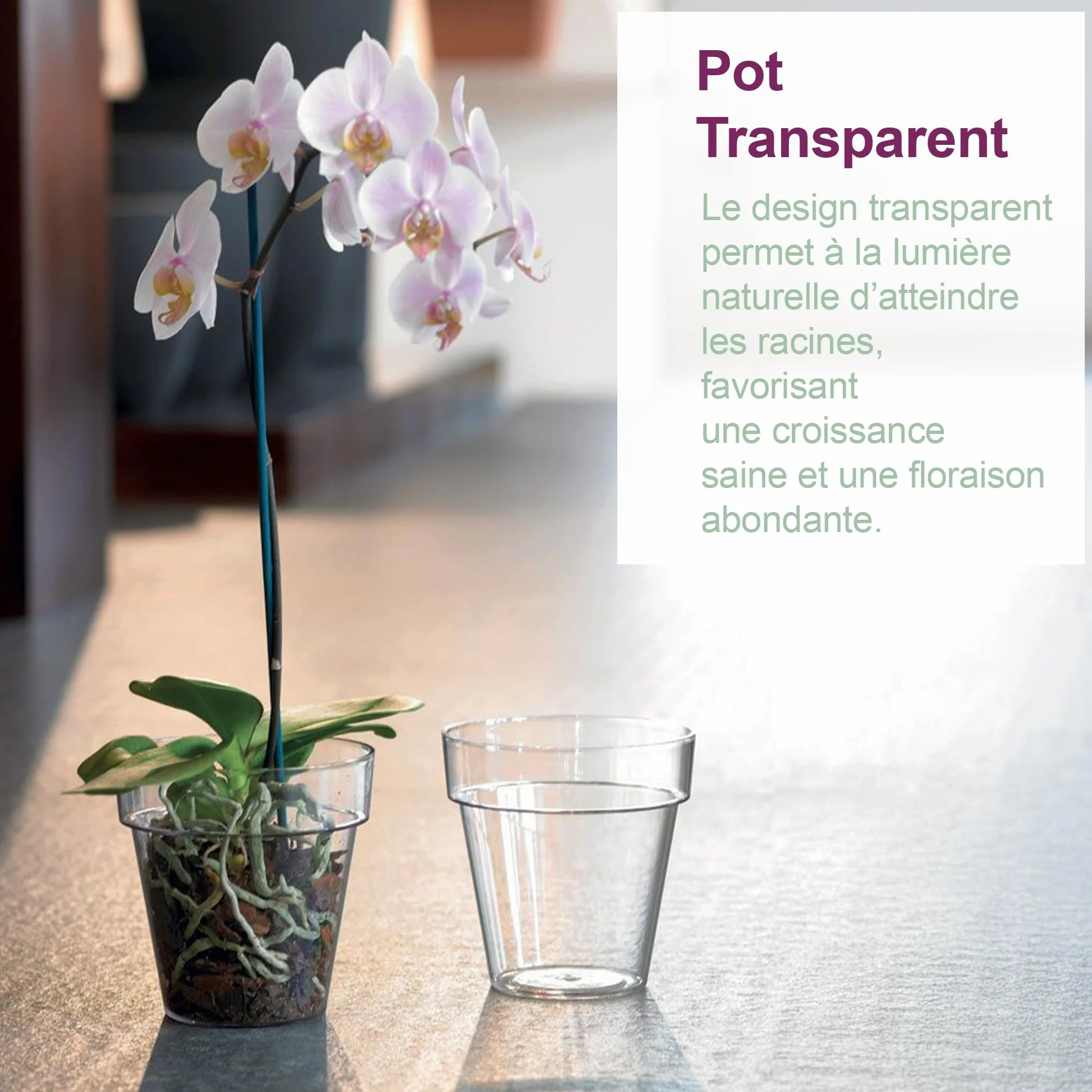 Pot pour orchidées Transparent Plastique Ø 16 cm avec Trous de vidange et soucoupes Lot de 3