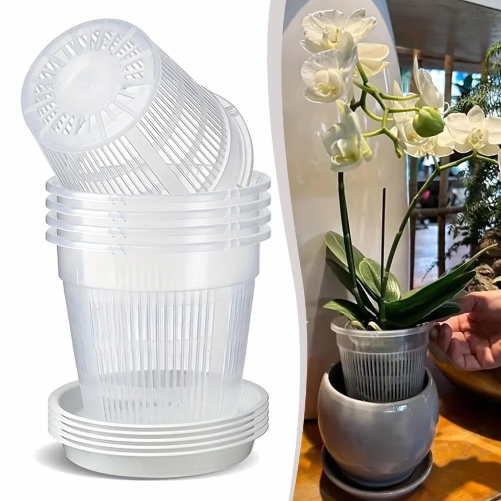 Pots transparents pour orchidées avec soucoupes 11 cm Lot de 6