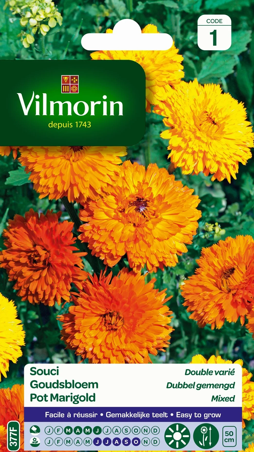 Vilmorin Souci Double varié Multicolore