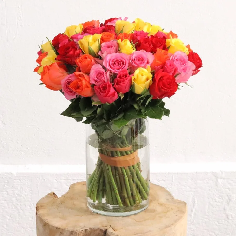 Fleurs et Délices Brassée de Roses Multicolores Très Grand Bouquet 55 Tiges Cadeau Anniversaire Saint-Valentin