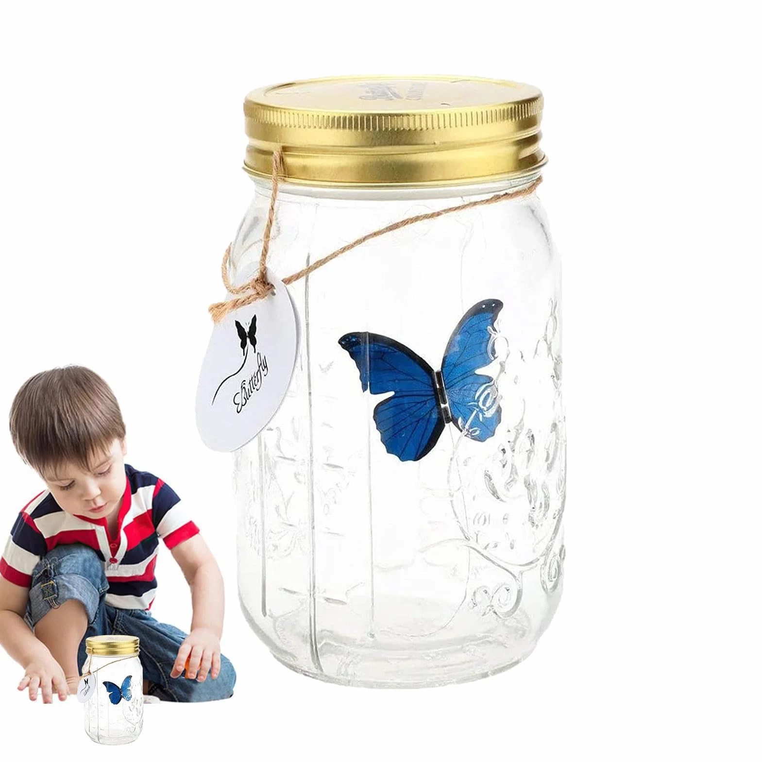 Pot de collection de papillons - Conteneur d'affichage d'insectes avec papillon animé à piles