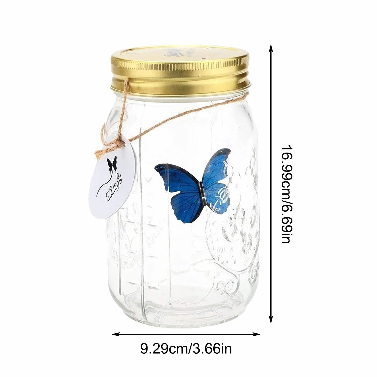 Pot de collection de papillons - Conteneur d'affichage d'insectes avec papillon animé à piles