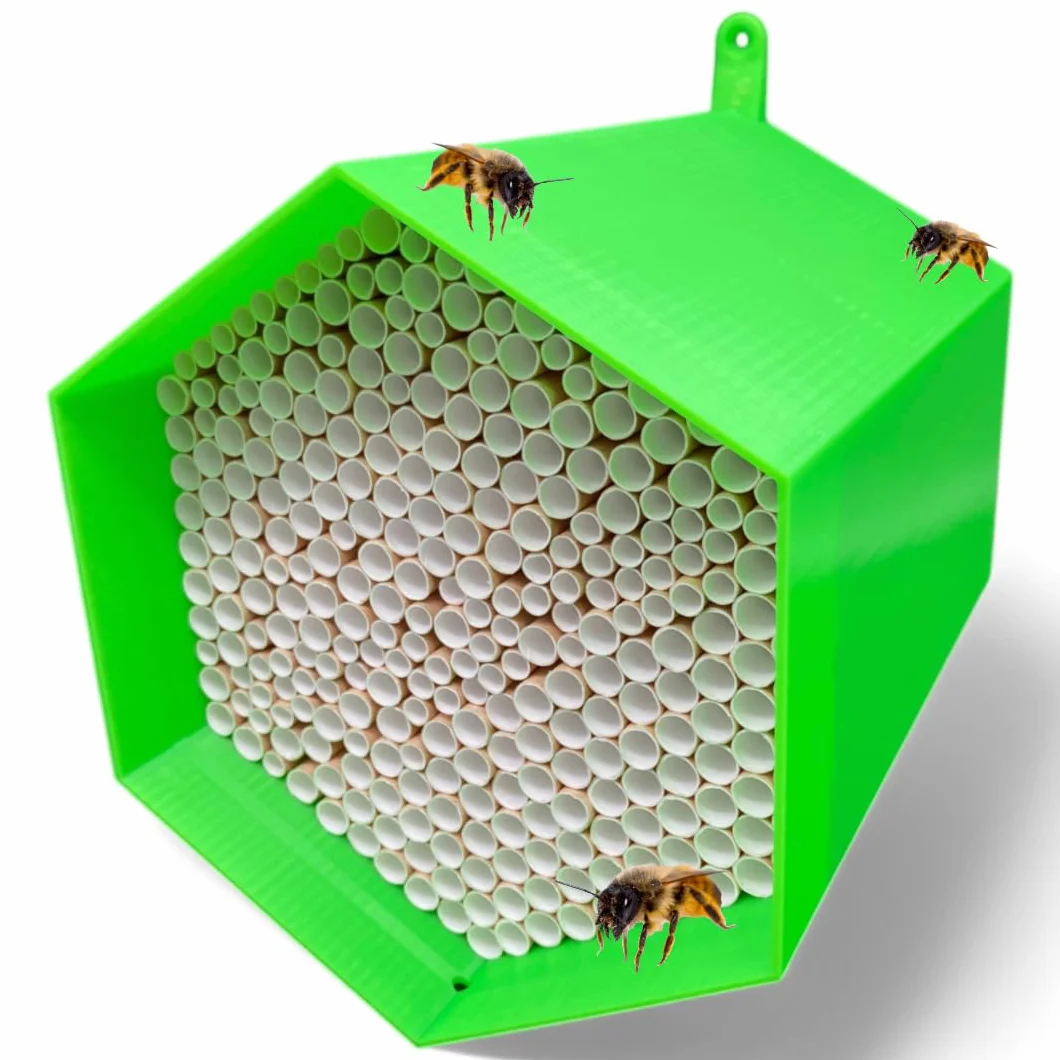 Hôtel à insectes Nichoir pour abeilles sauvages 300 cavités résistant aux intempéries