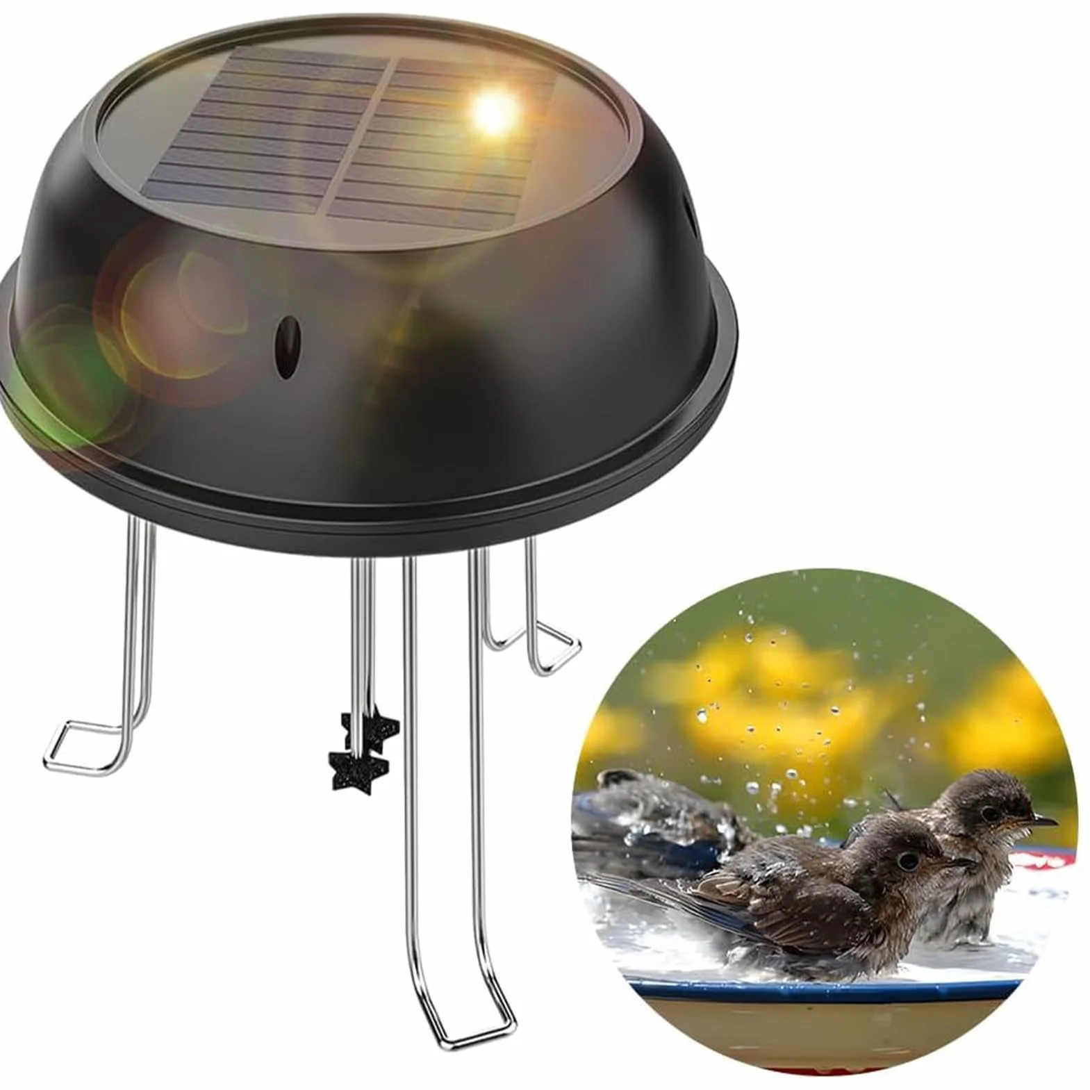 Pompe de circulation d'eau solaire 0.5 W pour bain d'oiseaux, décoration d'étang de jardin