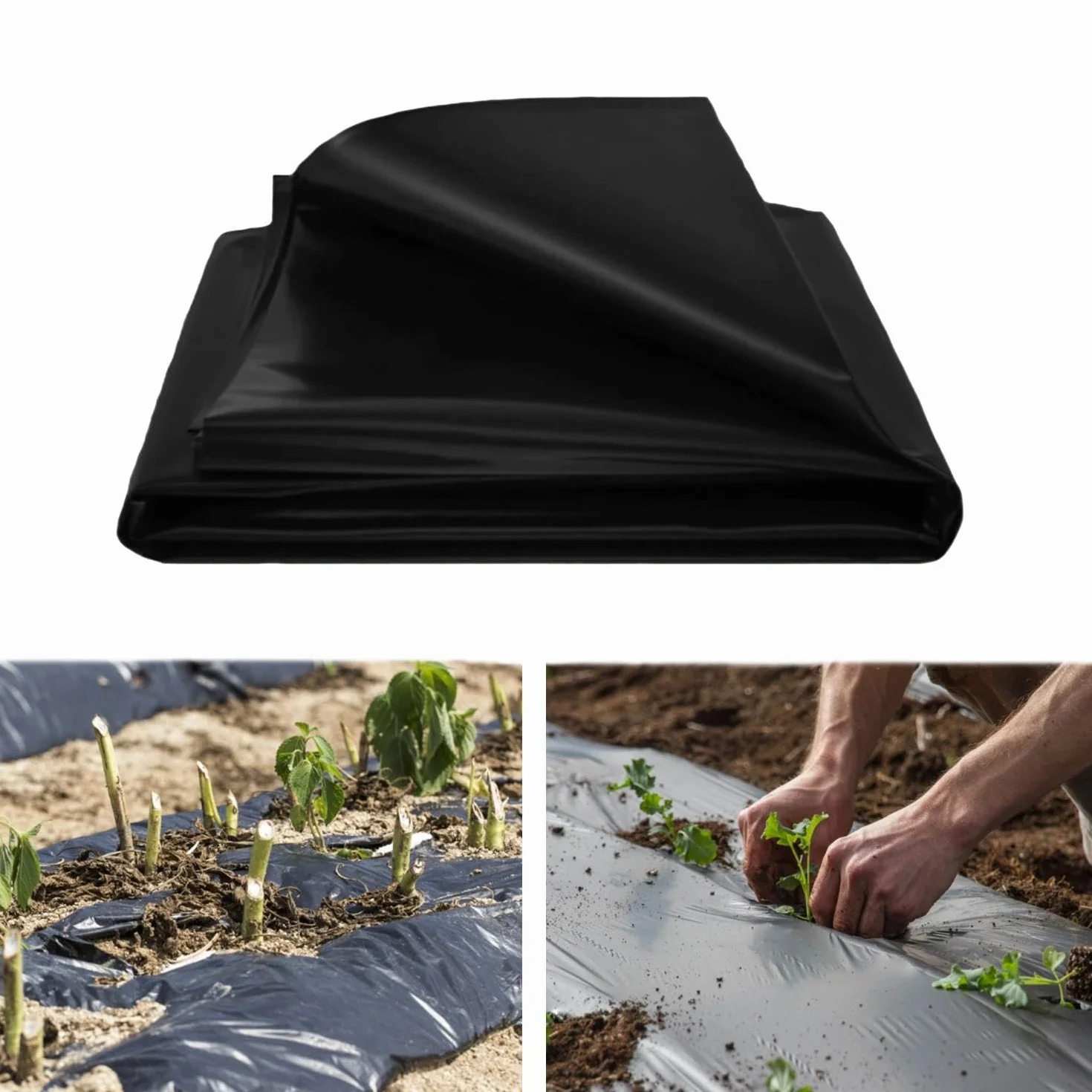 Bache Bassin 2 x 6 m Noire Agricole Exterieur Réutilisable pour Jardin Serre