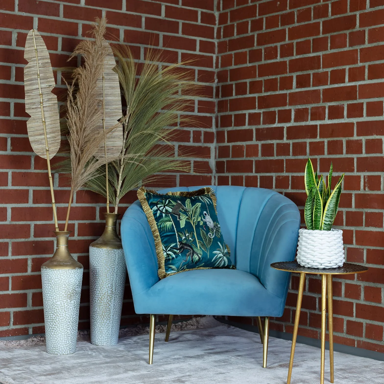 Sansevieria trifasciata Laurentii plante d'intérieur 35 cm pot 12 cm