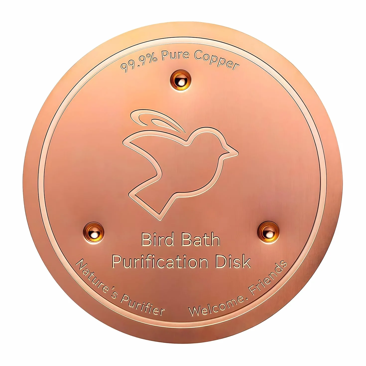 Plaque de Cuivre Pur 99,99% 0,6 mm Disque de Purification pour Bain d'oiseaux