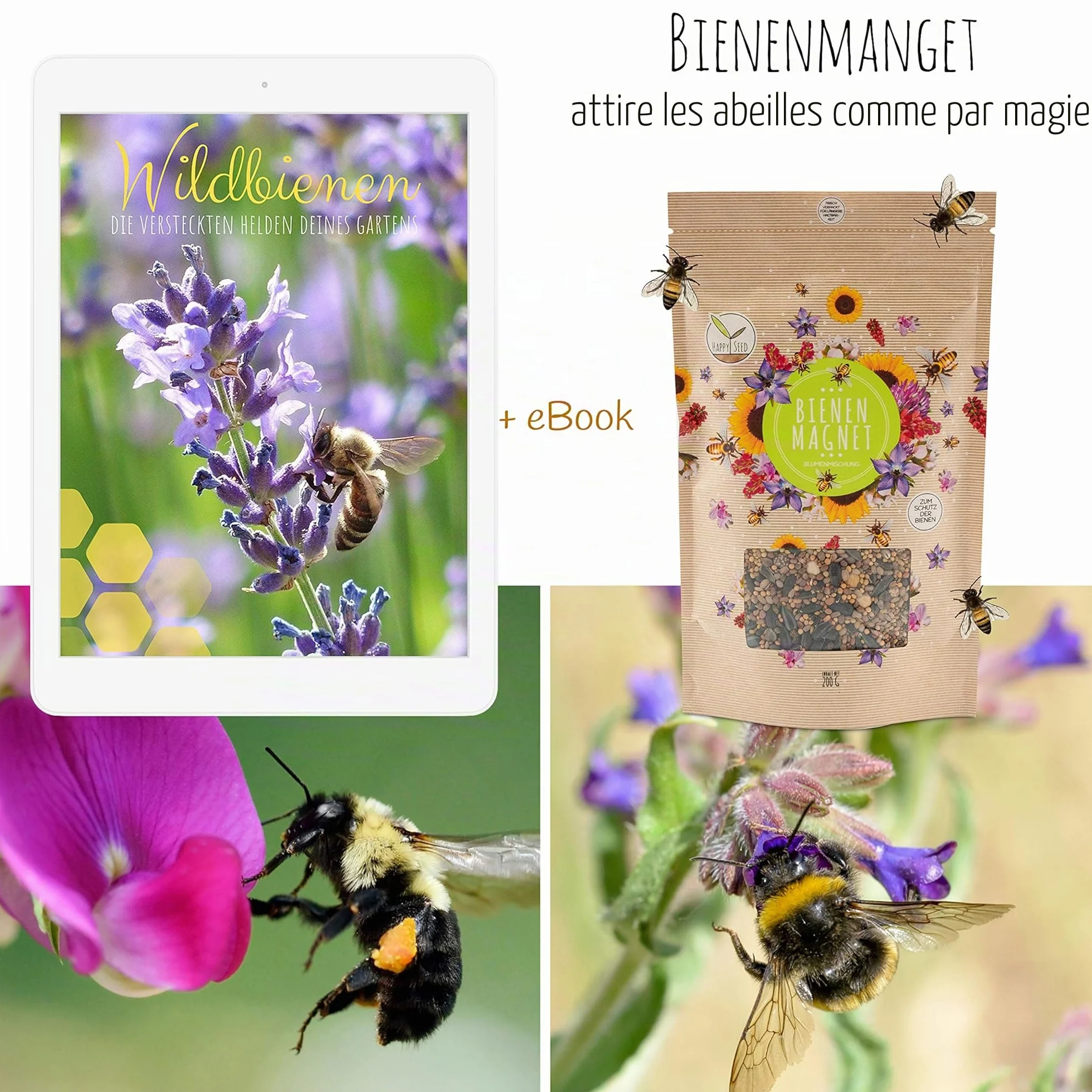 Graines de prairie colorées 100 g pour abeilles et papillons - Fleurs sauvages multicolores riches en nectar