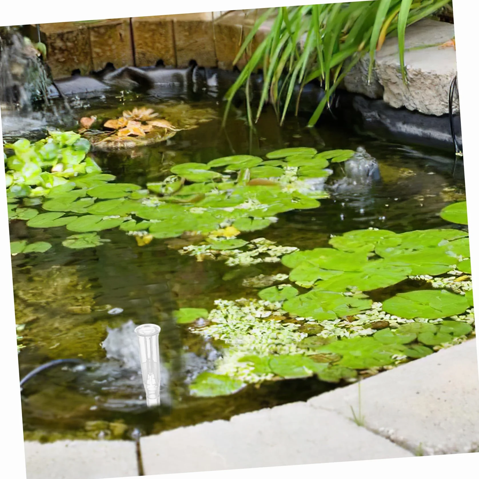 Sosoport 2 pièces Tête de Pulvérisation Transparente pour Fontaine de Bassin Jet Eau Aquarium Jardin