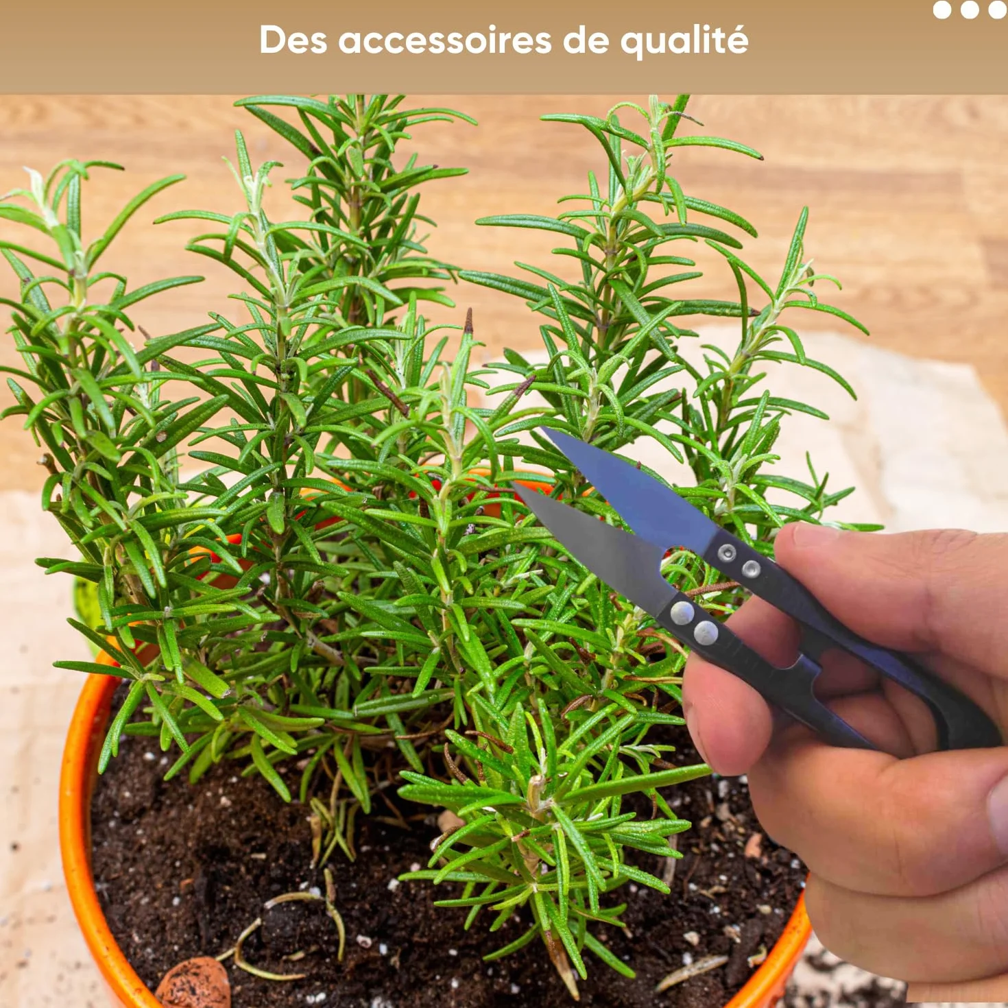 NOPALIA® Kit Herbes Aromatiques Bio Prêt à Pousser 5 Variétés Pots Biodégradables Cadeau Cuisine