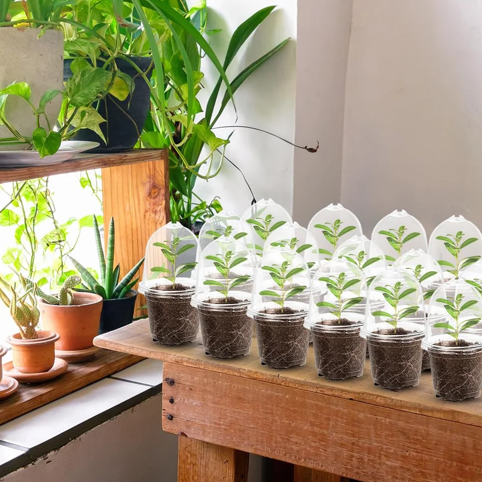 30 Pièces Pots de Pépinière Transparents avec Dôme d'Humidité, 10cm Plastique, Pots de Démarrage de Semis