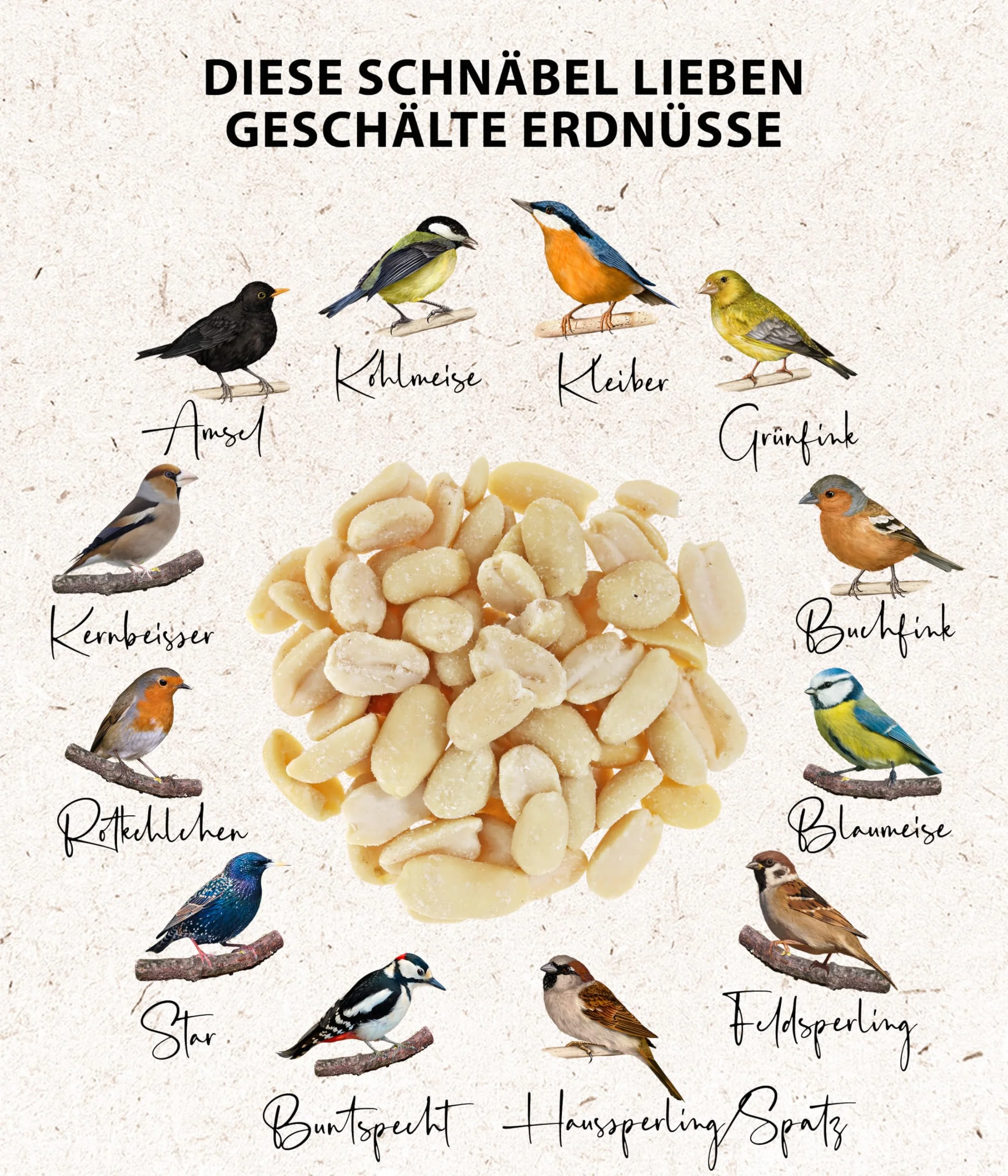 Dehner Natura Premium Nourriture pour Oiseaux Sauvages, arachides entières et Semi-entières, 5 kg