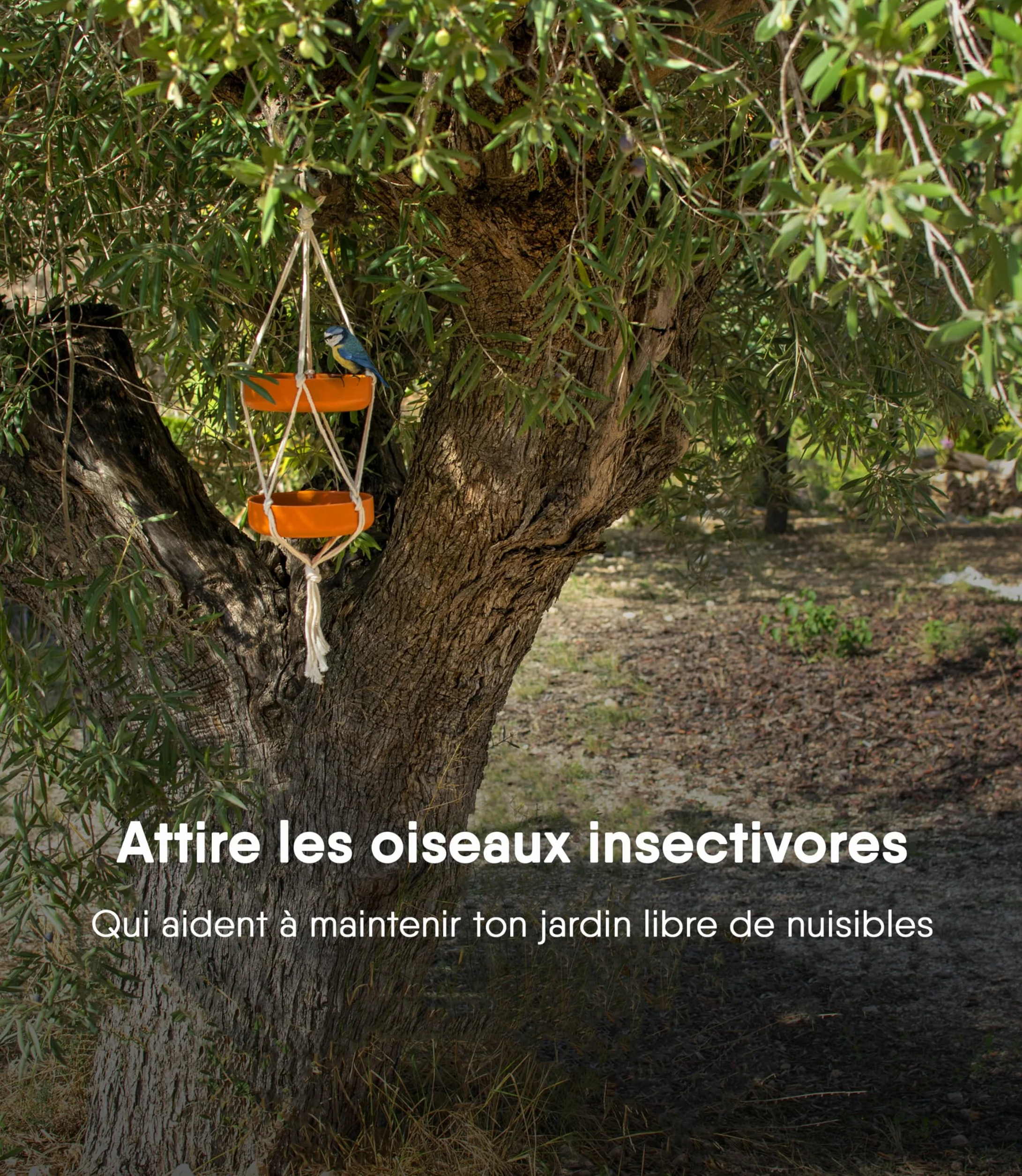 Mangeoire d'extérieur Suspendue Double Plateau Fibre de Bambou Corde Coton Jardin Balcon