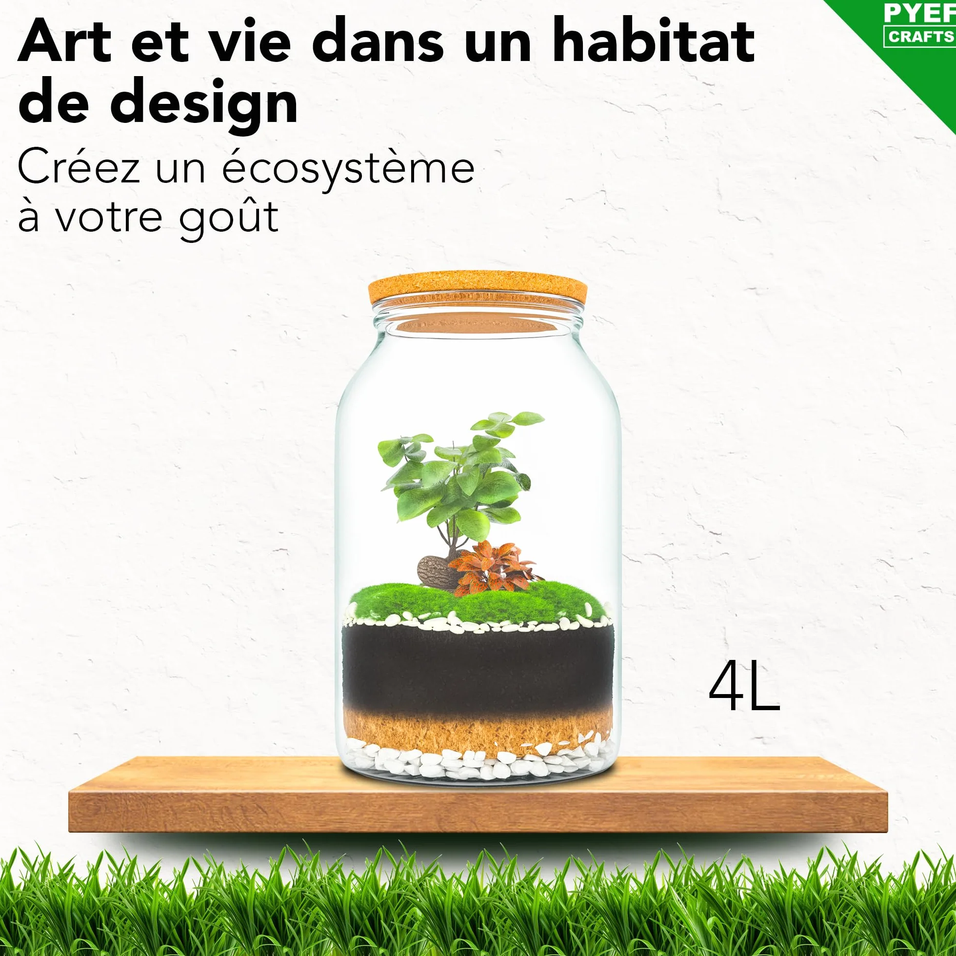 Terrarium Verre XL Kit DIY 4L Jardin en Bouteille