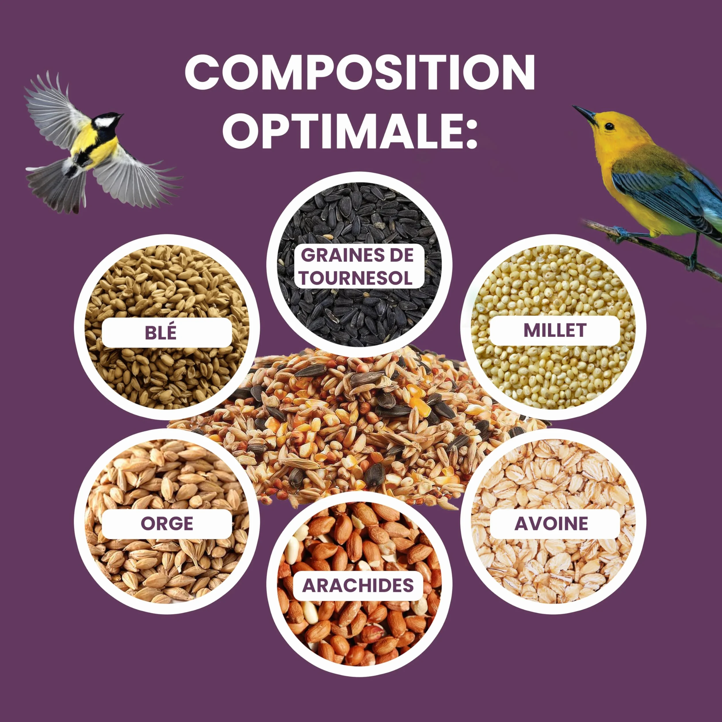 Graines Oiseaux Sauvages 1,7kg Mélange Nourriture Oiseaux Exterieur Jardin Hiver