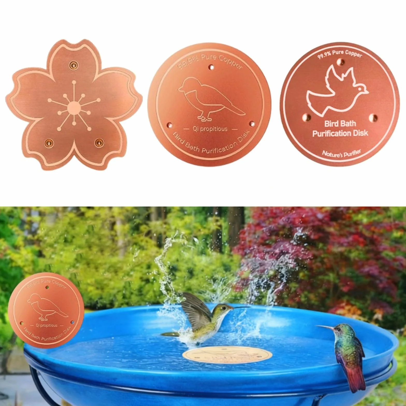 Lot de 2 disques de purification en cuivre pour bain d'oiseaux, plaques antirouille robustes avec support stable pour extérieur