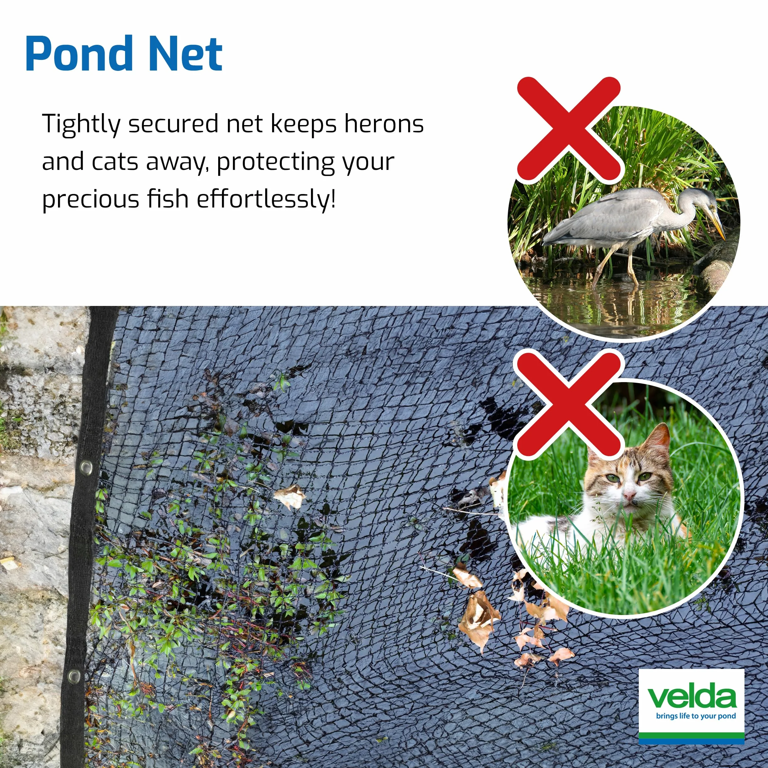 Velda Filet de Protection pour Bassin 6 x 5 m – Protection Contre Feuilles, Hérons et Autres Prédateurs