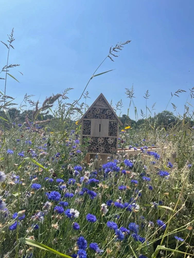 Hôtel à Insectes