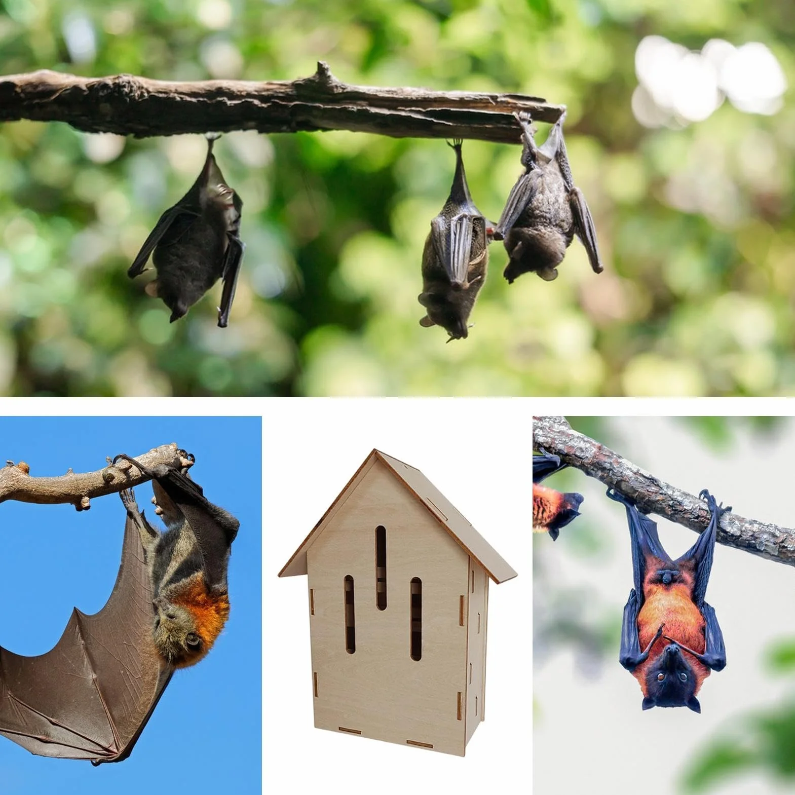 Abri À Chauves-Souris D'Extérieur En Bois - Grotte Pour Animaux De Patio