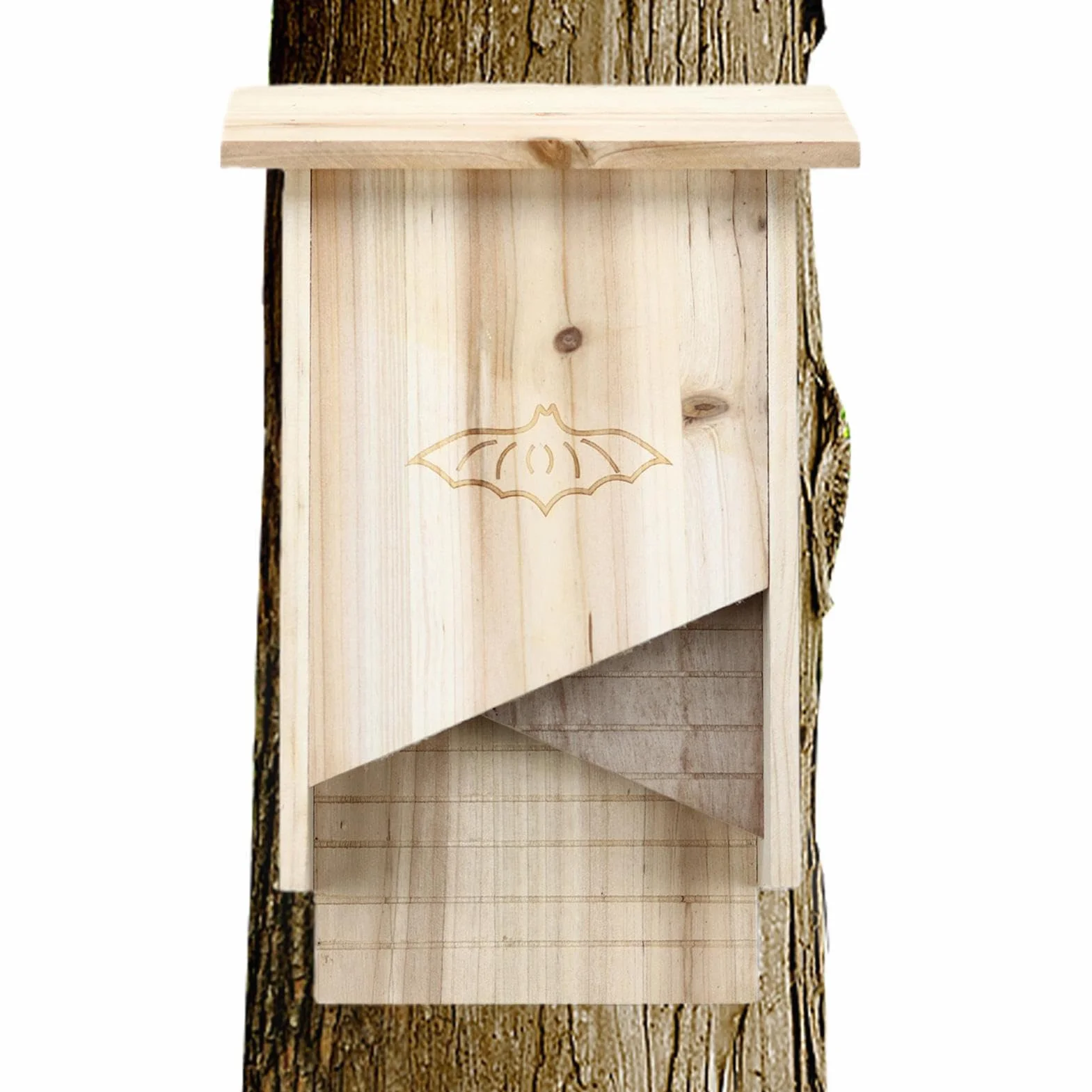 Maison Chauve-Souris en Bois résistante aux intempéries pour l'extérieur