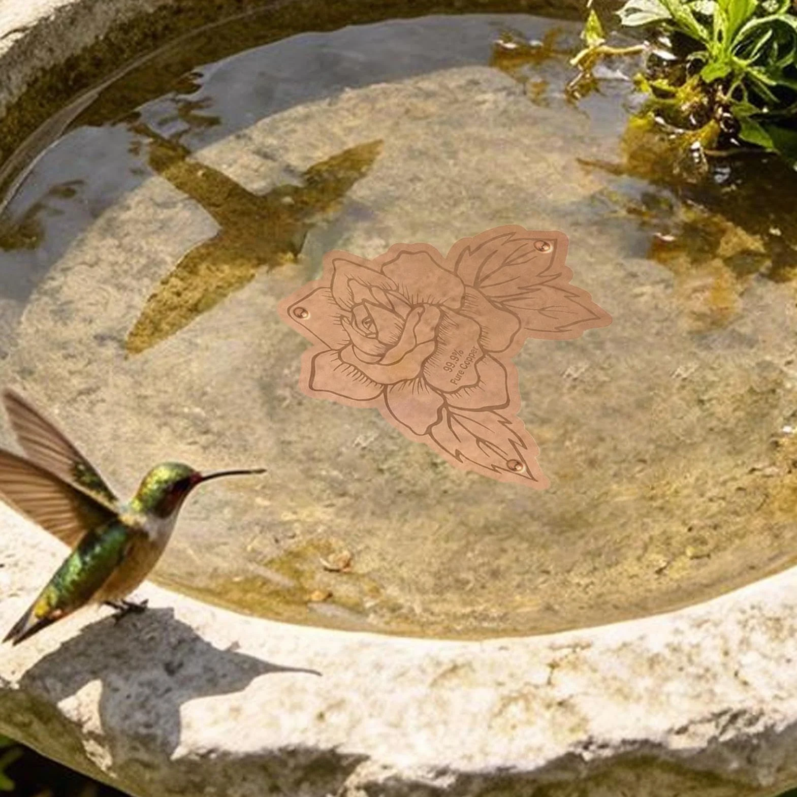Disque en cuivre purificateur d'eau pour bain d'oiseaux - Extérieur Jardin