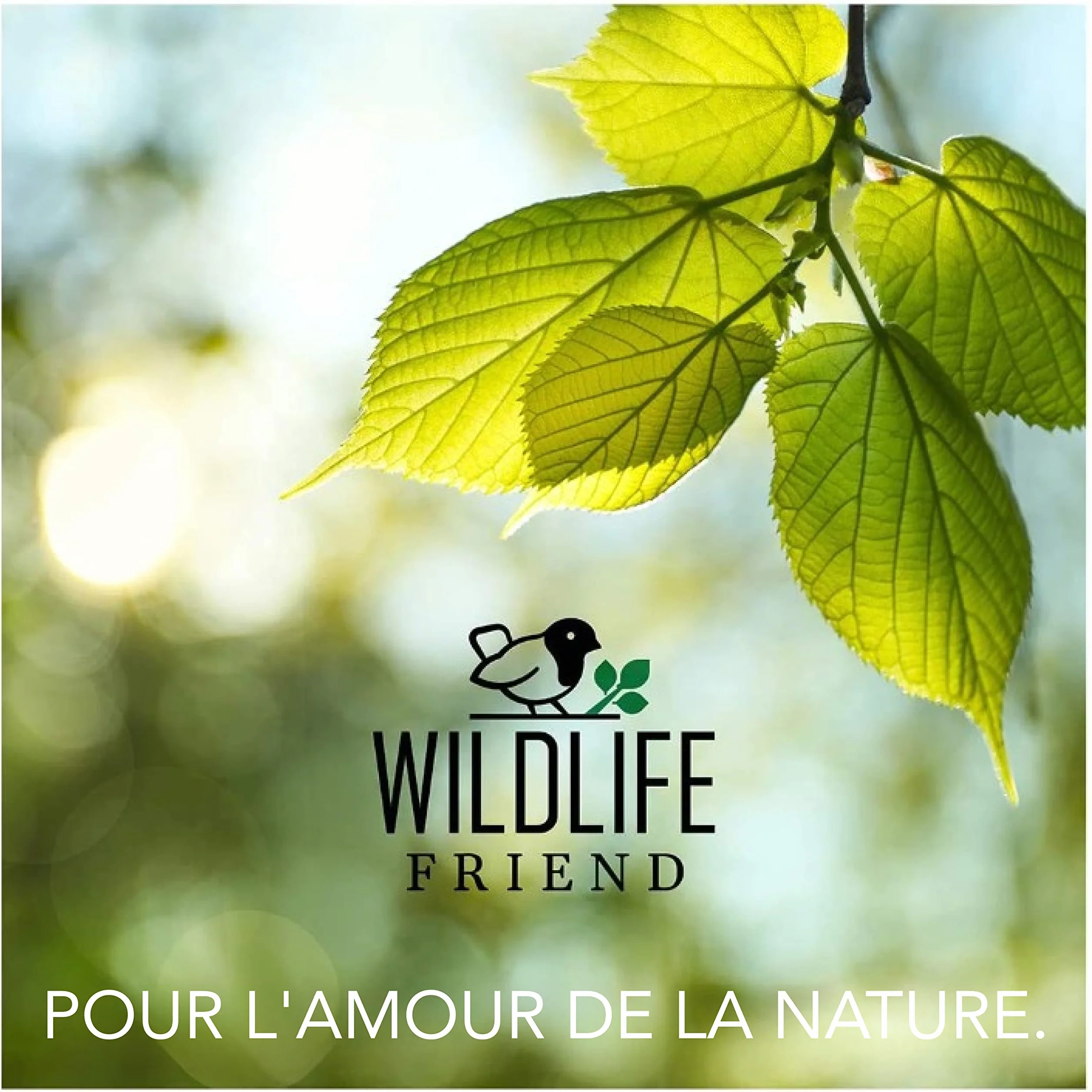 Nichoir pour Chauve-Souris avec Toit en métal – Bois de pin résistant aux intempéries