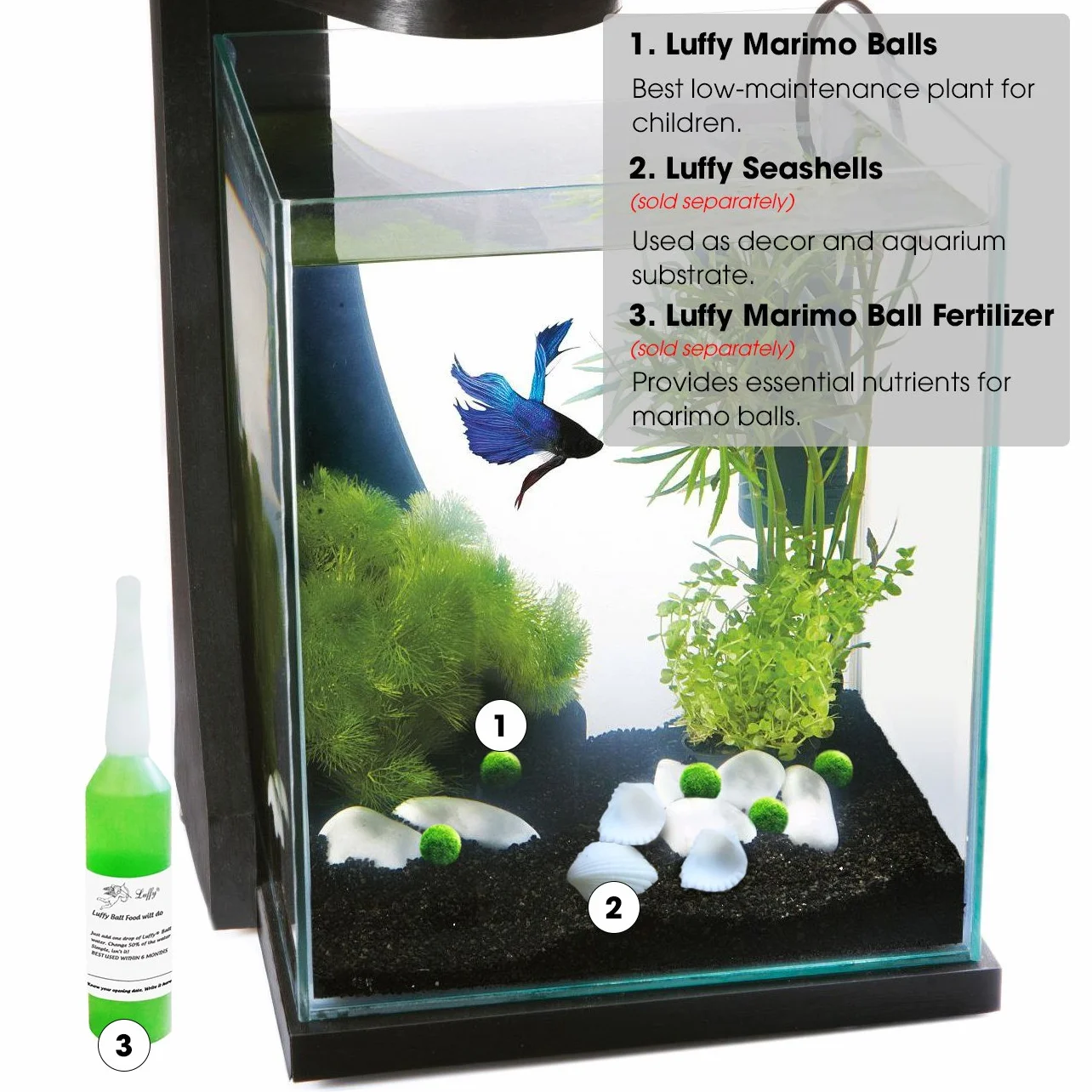 MARIMO Moss Ball X 5+1 Rare Facile Décor Usine Taille 12 mm