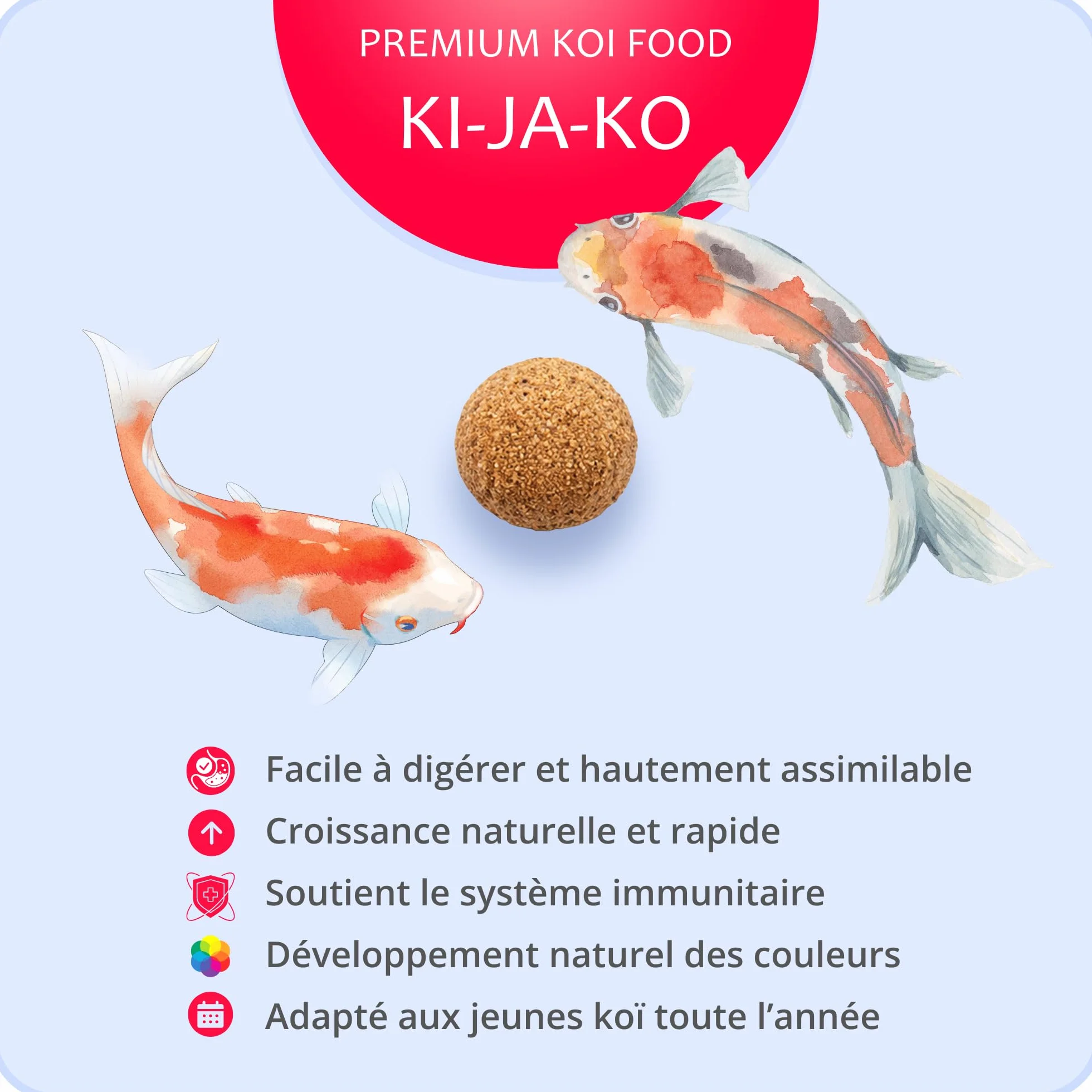 Nourriture pour alevins Carpe koï 500g 2mm prébiotiques probiotiques oméga-3