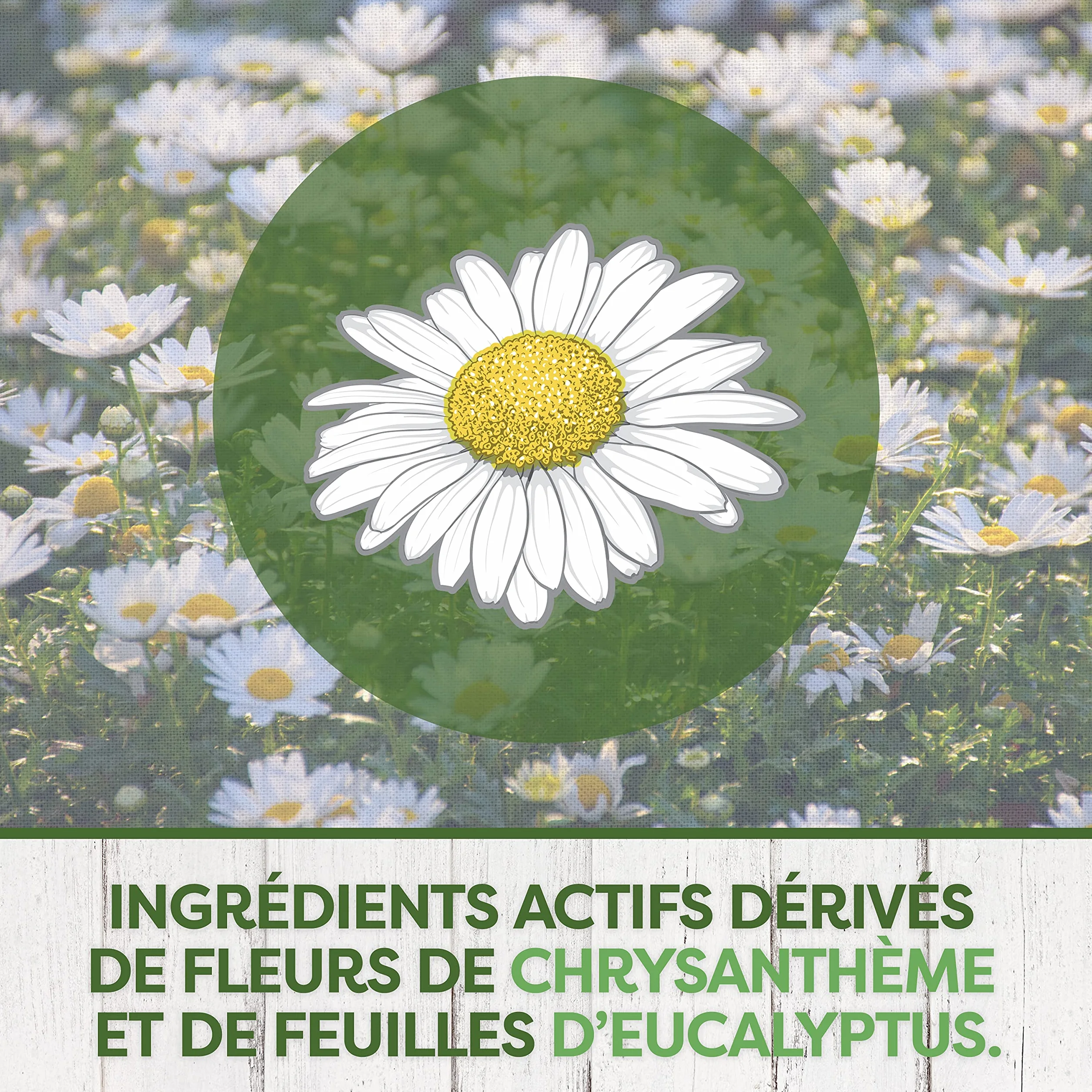 Pyrel Recharge Diffuseur Electrique Liquide Répulsif Moustiques 90 Nuits Sans Parfum 2 Recharges