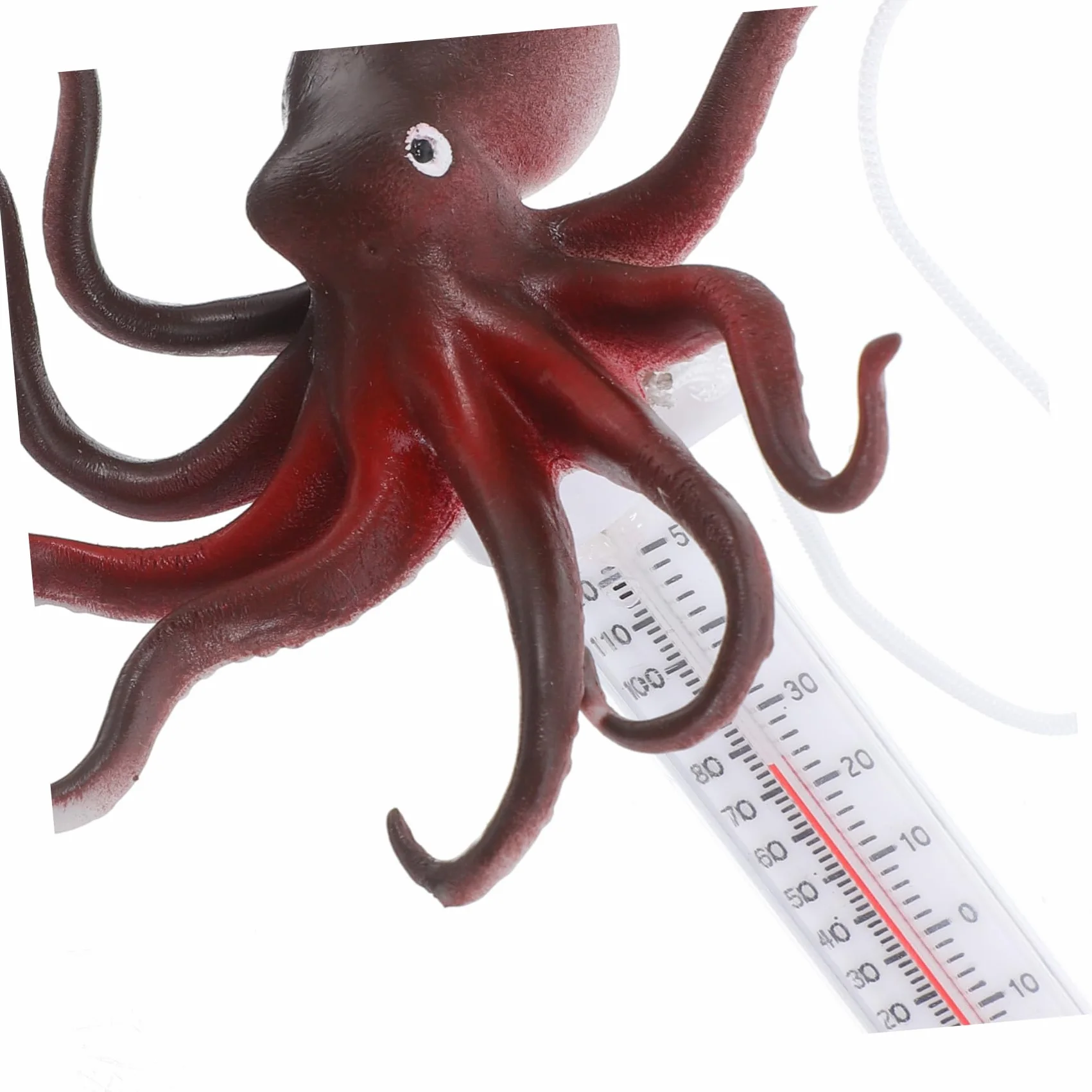 TOYANDONA Thermomètre Piscine Flottant Pieuvre Température Eau Précis