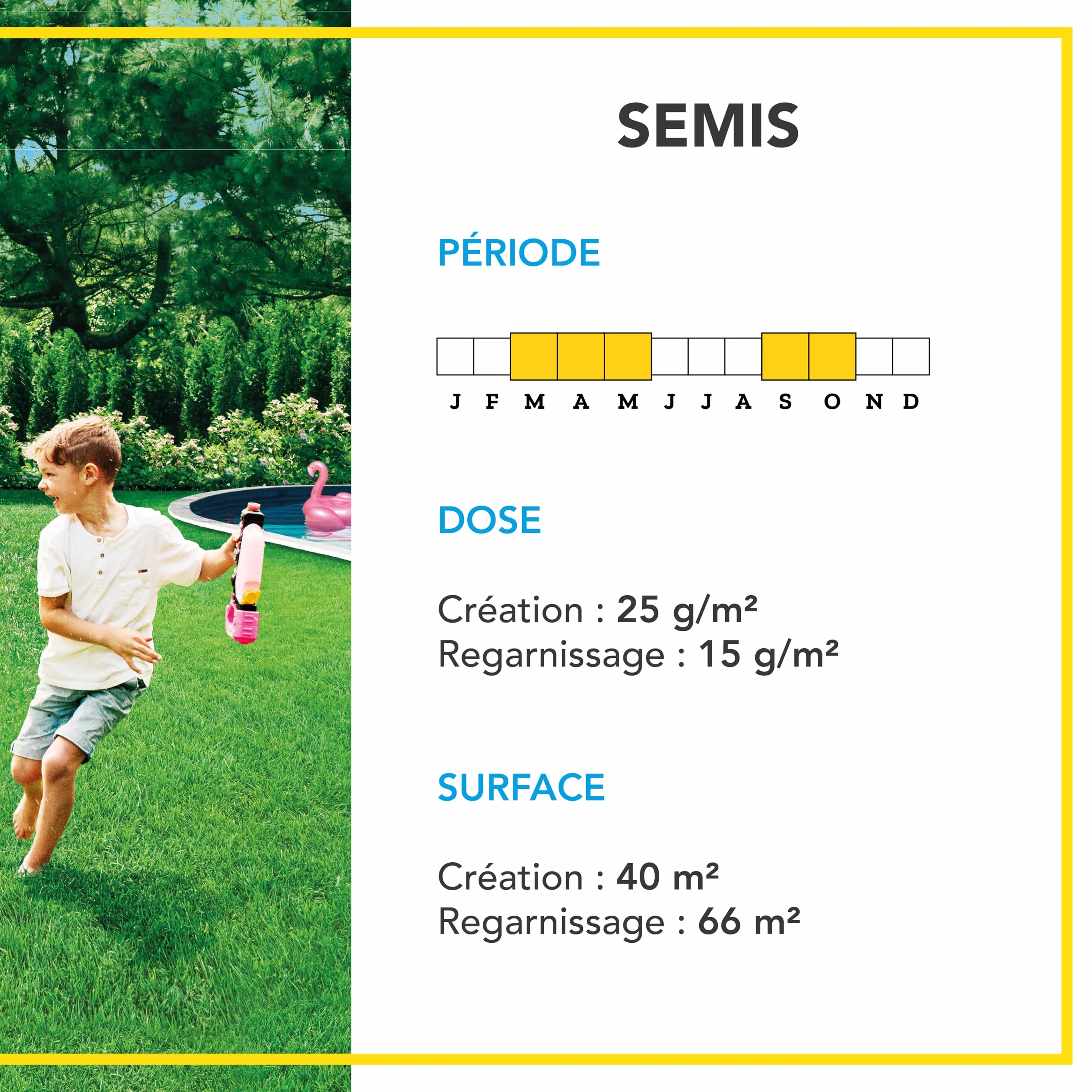 Barenbrug Gazon Terrain Sec sans arrosage 1KG Résiste Chaleur Sécheresse Forte Réduction Arrosage Autoréparation Naturelle