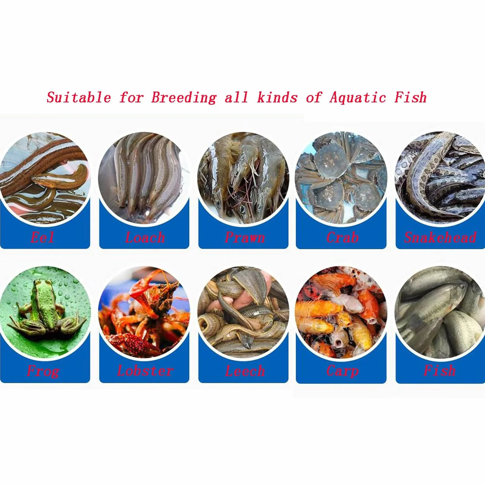 Bassin À Poissons en Toile 100x100x100cm Pliable Grande Piscine Aquaculture pour Koï et Jardin