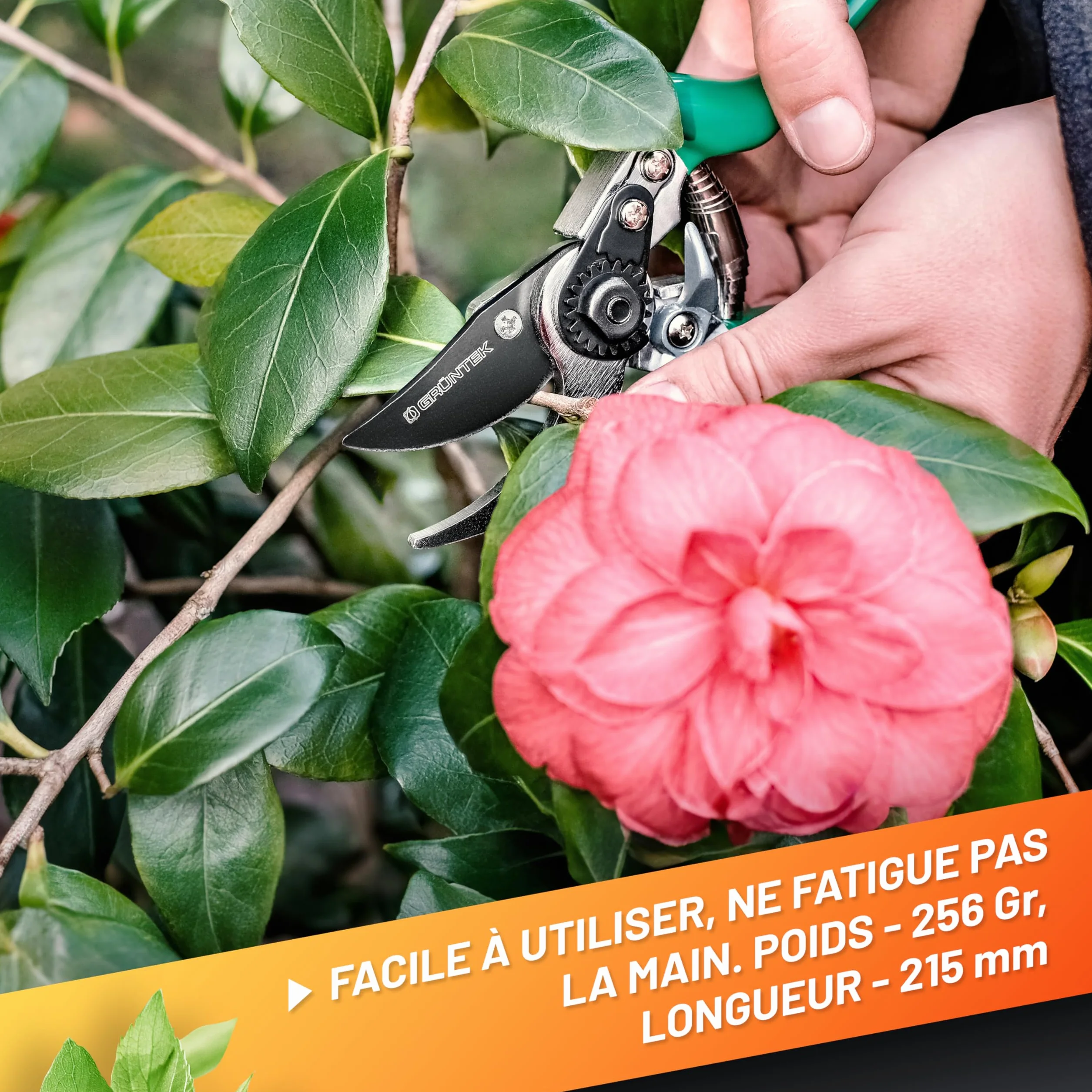 GRÜNTEK Sécateur de Jardin Professionnel Acier Japonais Teflon