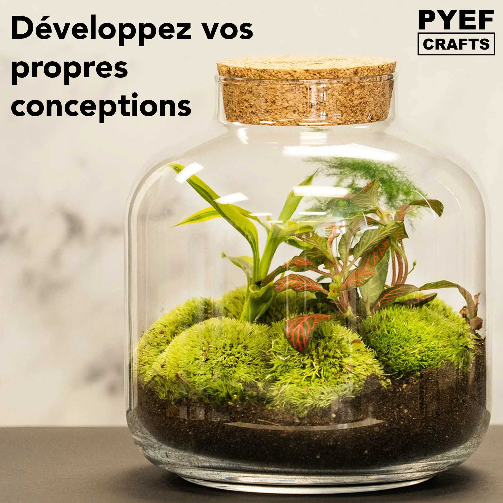 Kit Terrarium Plante DIY Prêt-à-Pousser Jardin en Bouteille XL