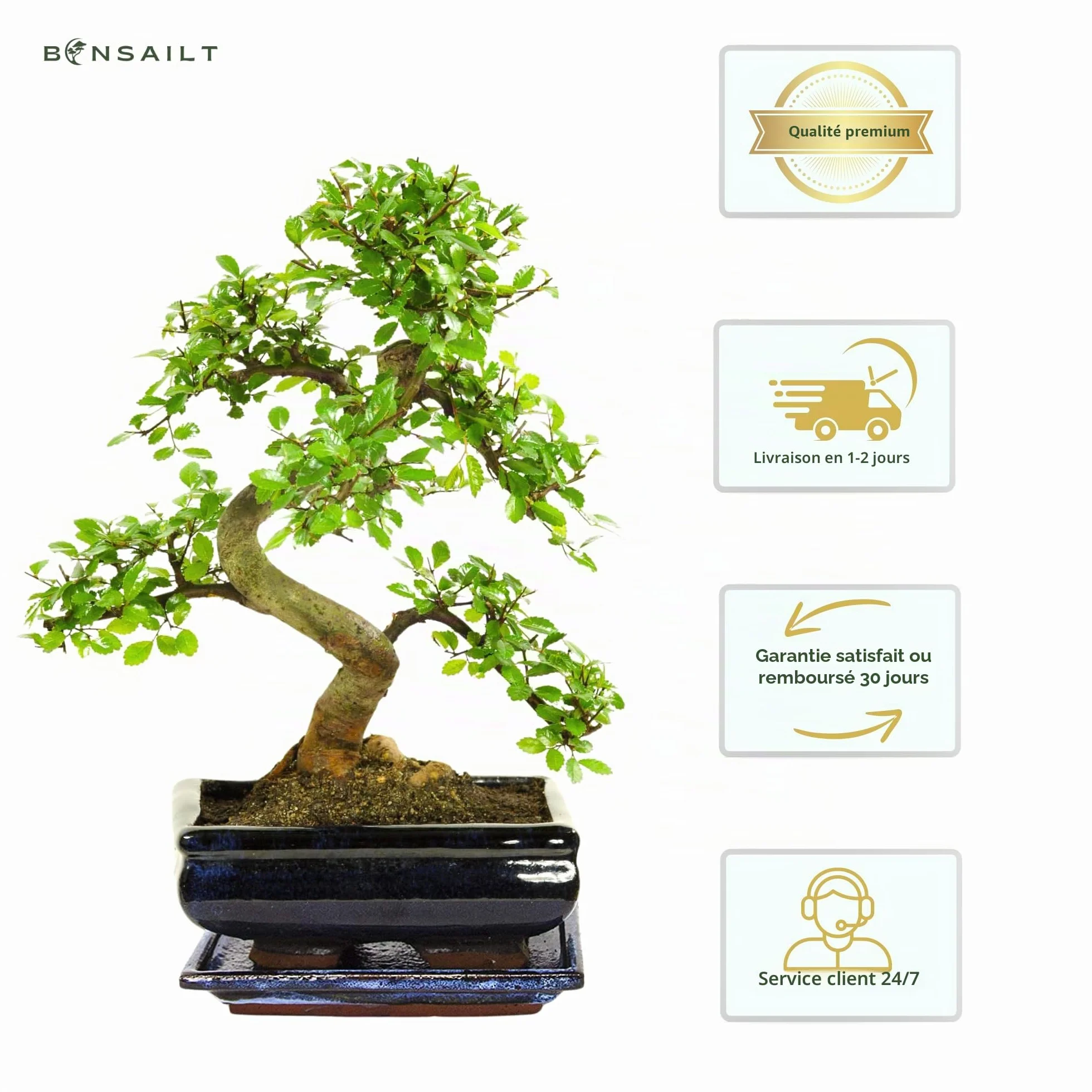 Bonsaï pot céramique Ligustrum Ficus Carmona Podocarpus Orme chinois 6-9 ans