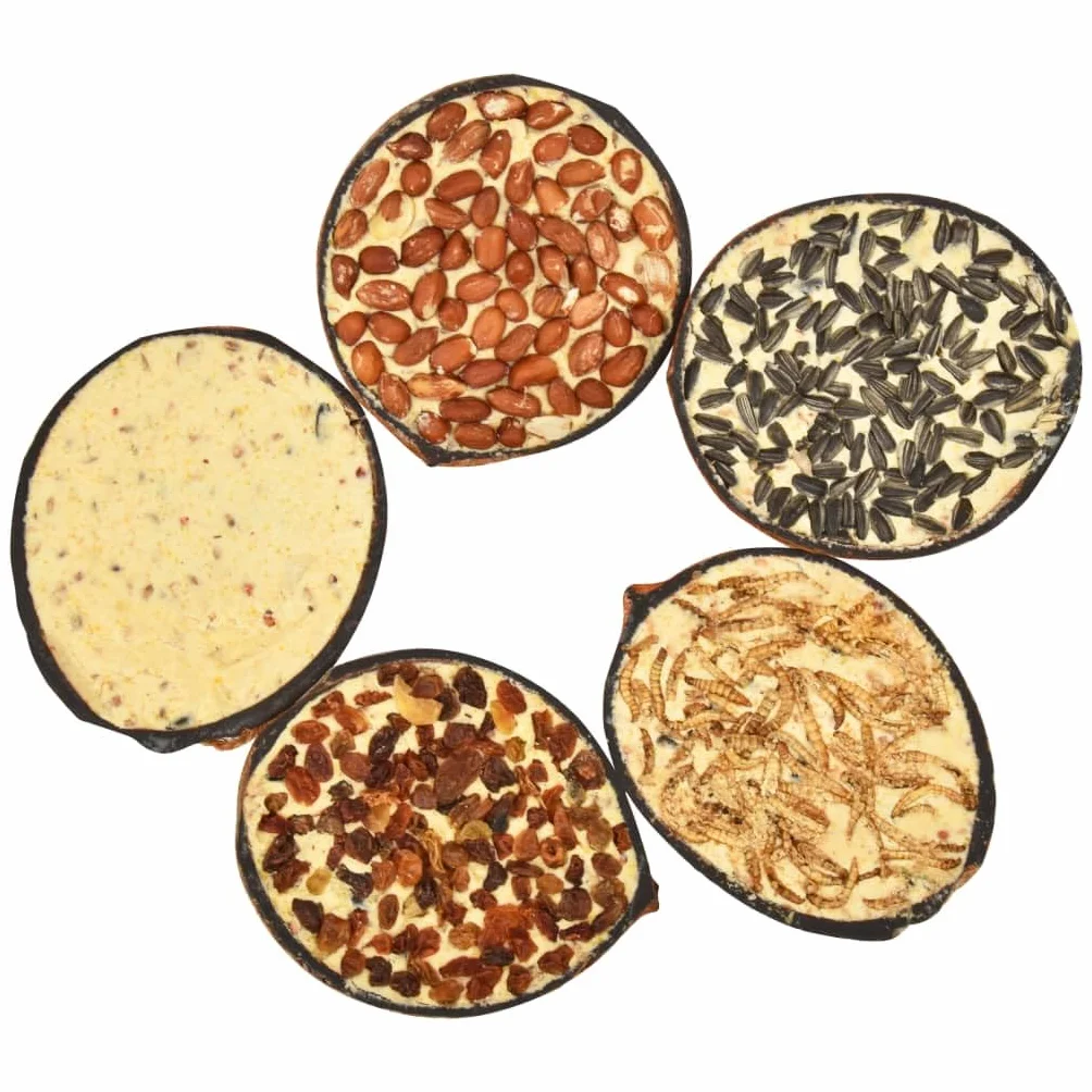 vidaXL 10x Moitiés de Noix de Coco pour Oiseaux 290 g